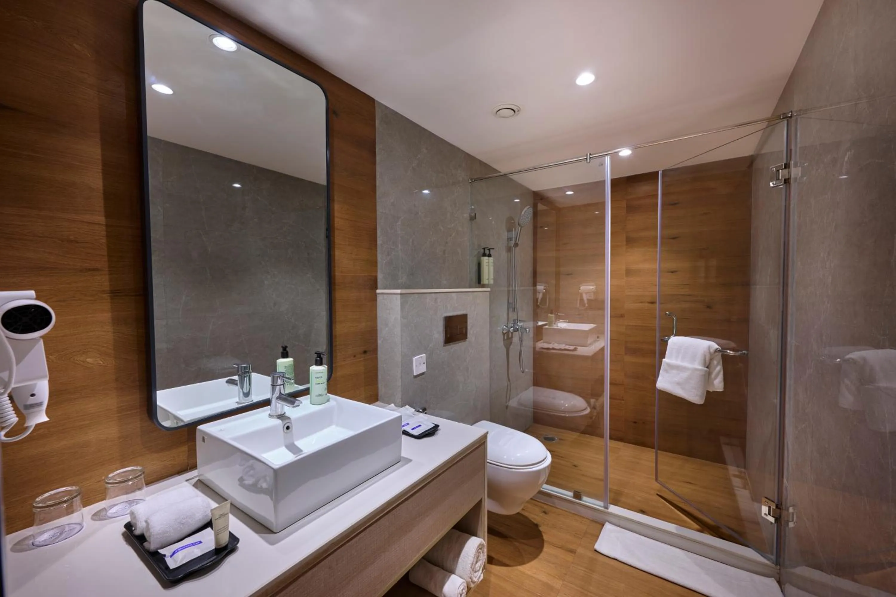 Bathroom in Delite Sarovar Portico Faridabad