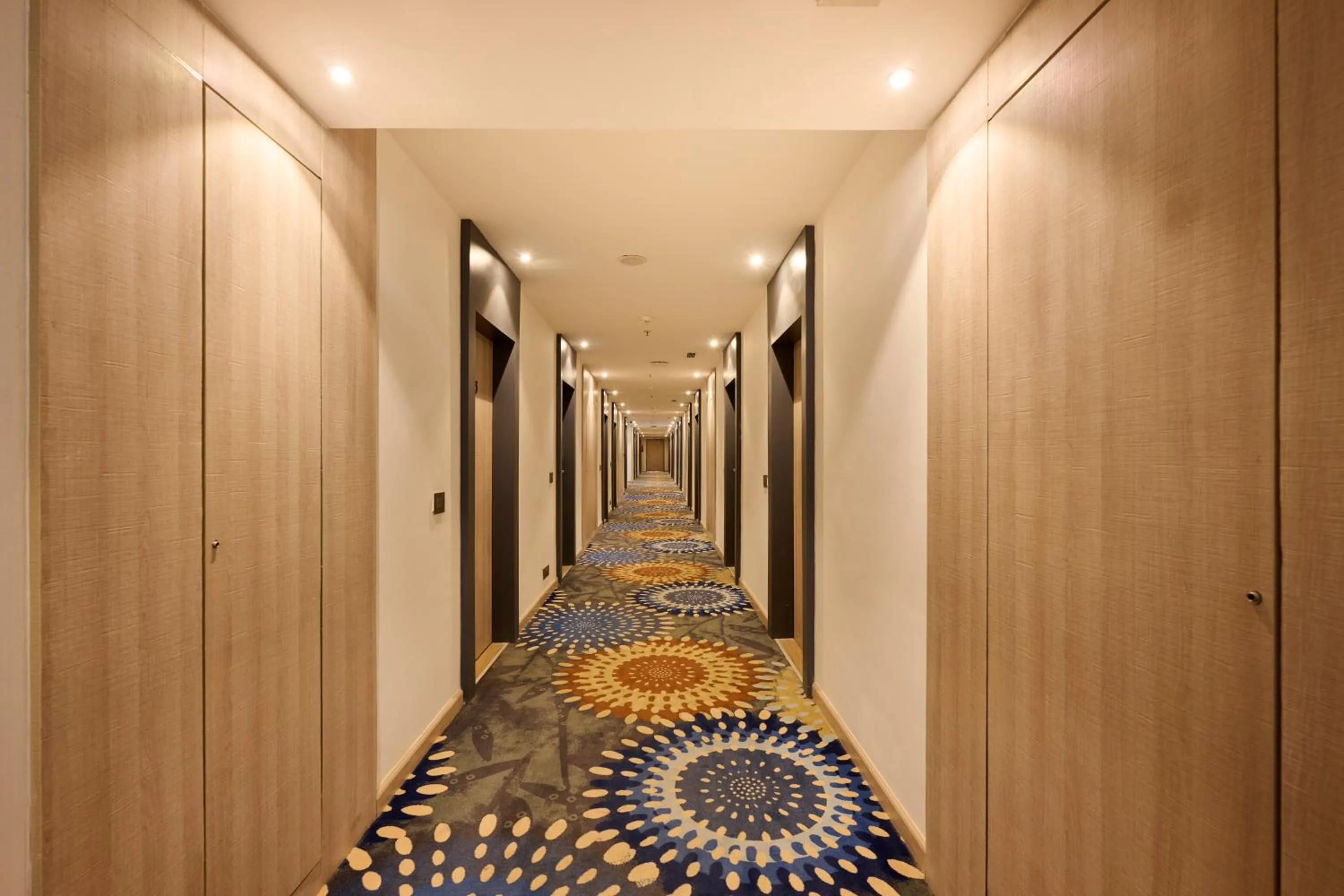 Area and facilities in Delite Sarovar Portico Faridabad