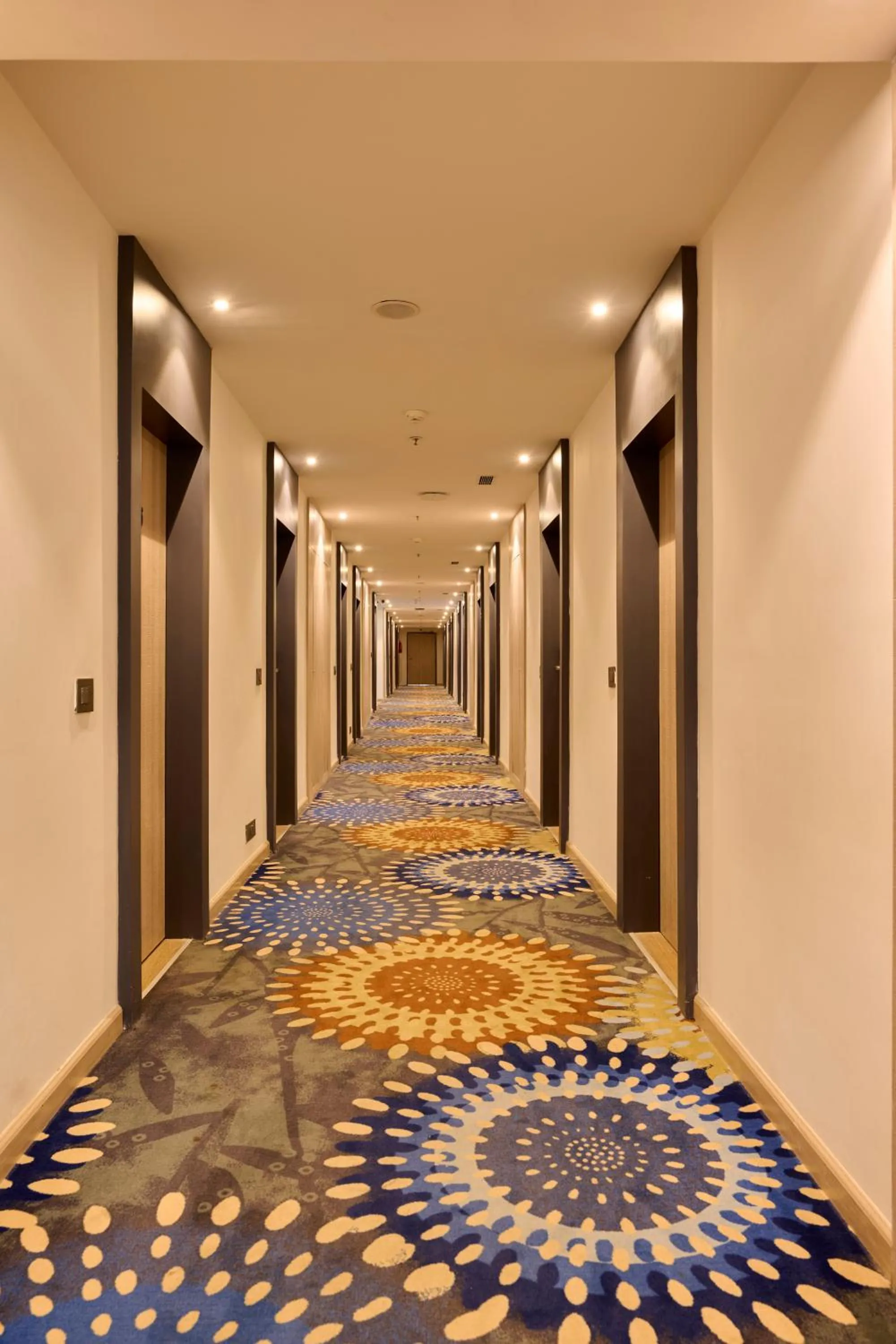 Area and facilities, Bed in Delite Sarovar Portico Faridabad