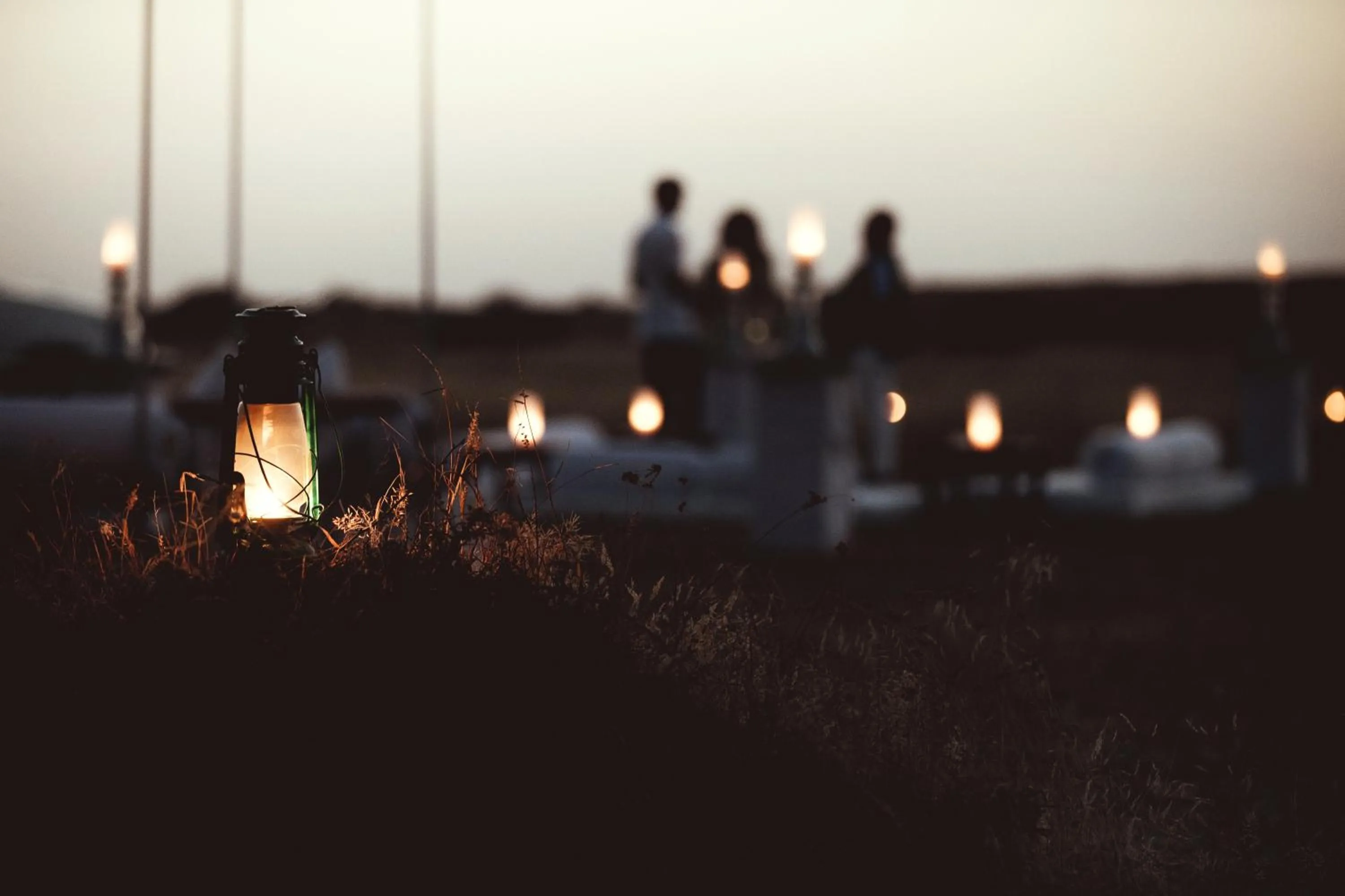 Entertainment in Narendra Bhawan