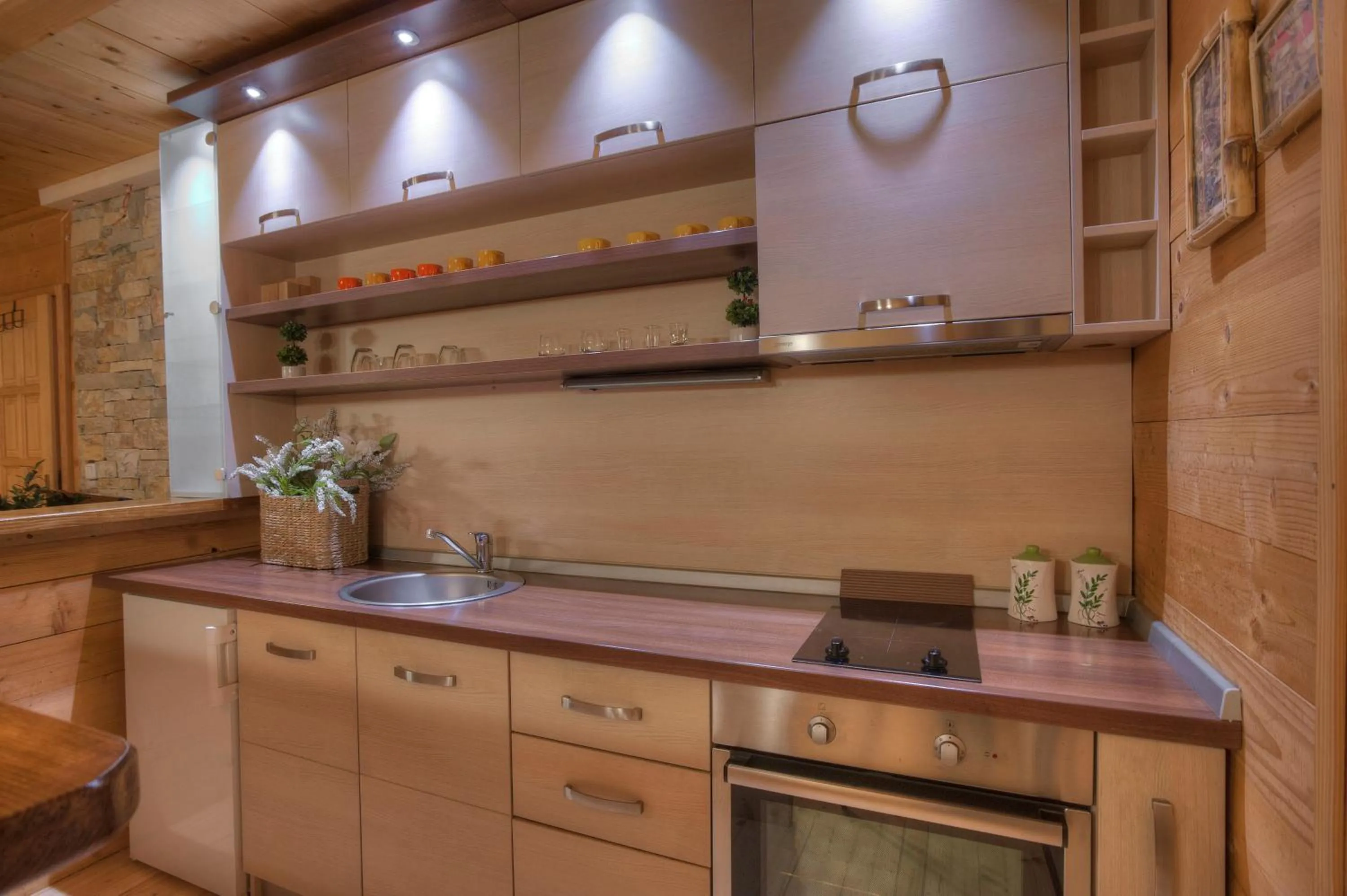 Kitchen or kitchenette in Brvnare Bor