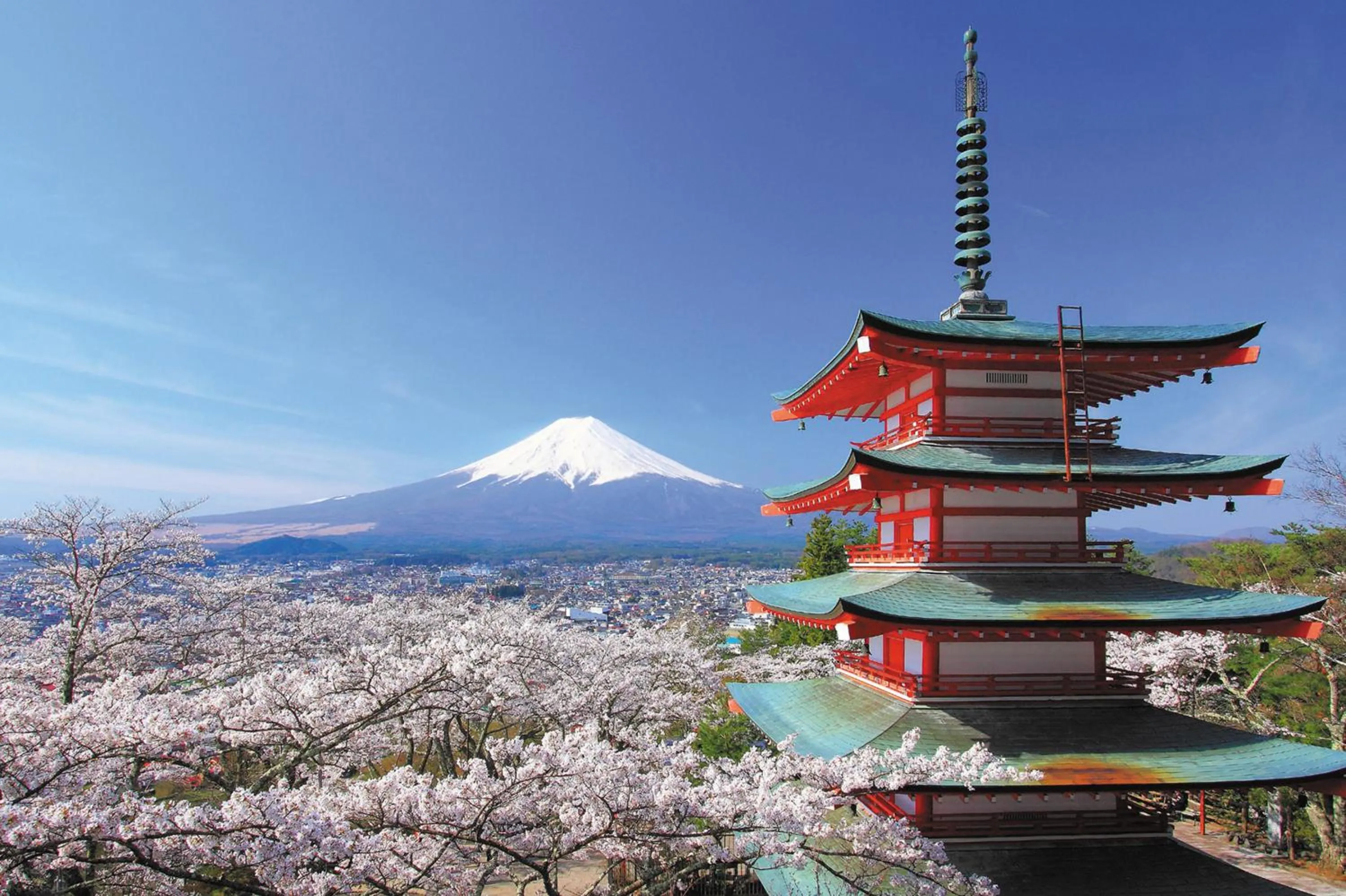 Nearby landmark in Guesthouse Fujinokura Kawaguchiko Ekimaeten