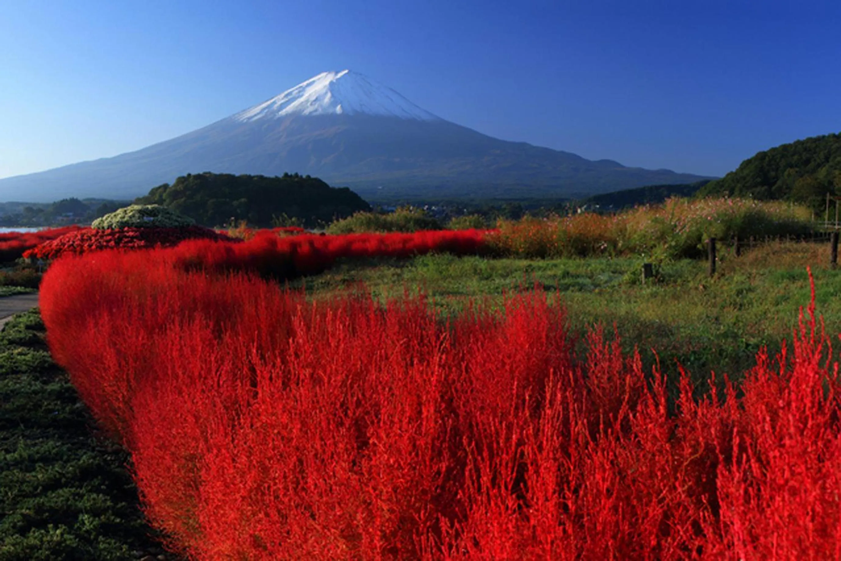 Nearby landmark in Guesthouse Fujinokura Kawaguchiko Ekimaeten