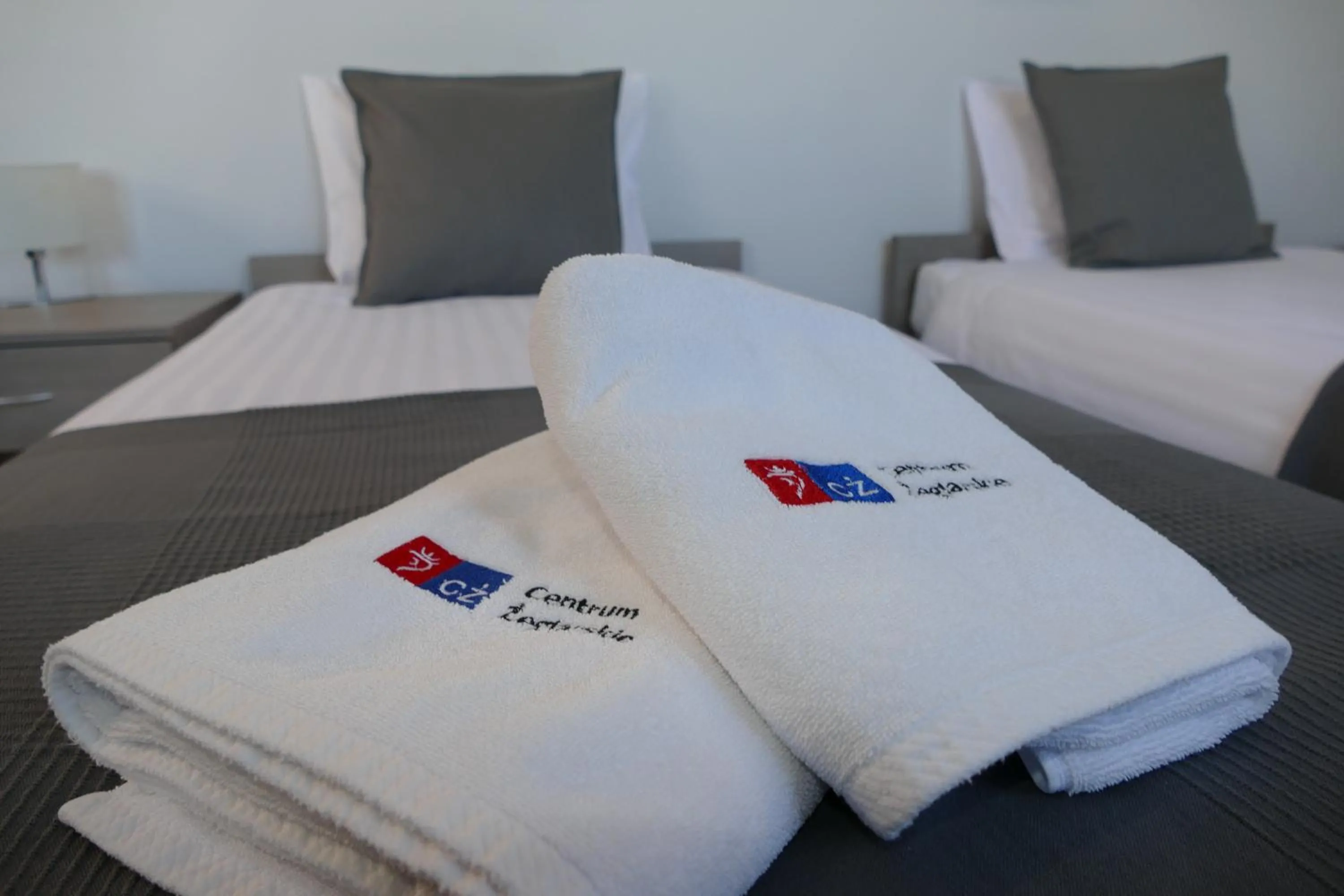 Photo of the whole room, Bed in Centrum Żeglarskie