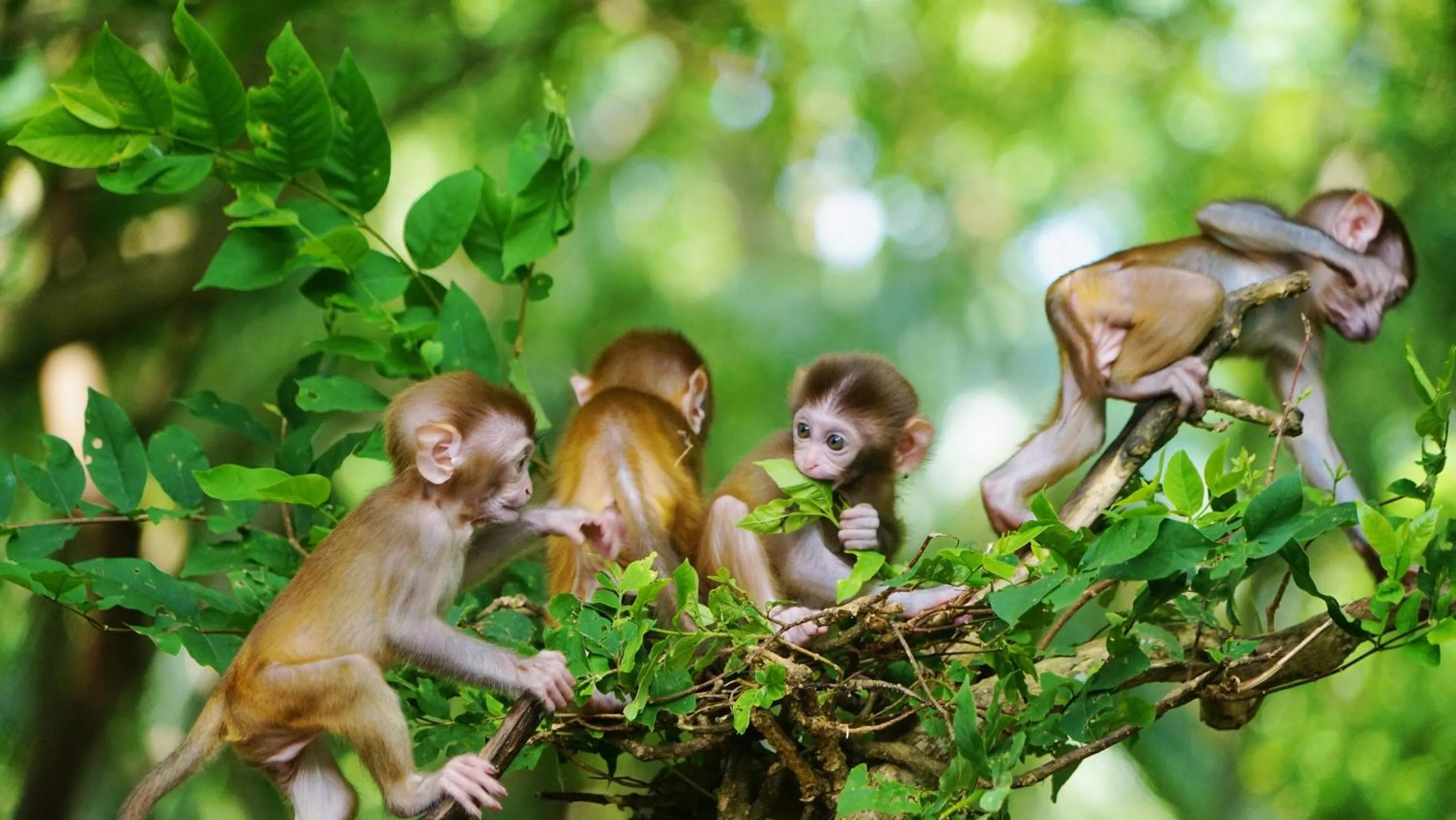 Entertainment in Marriott Resort Xiangshui Bay