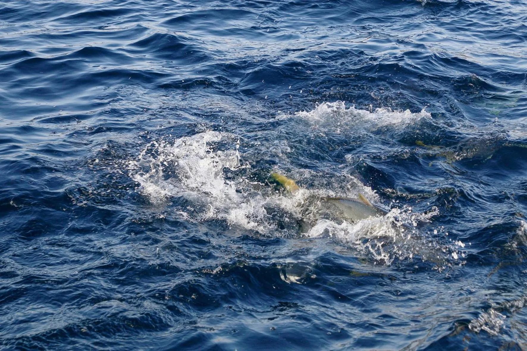 Natural landscape in Uminoniwa