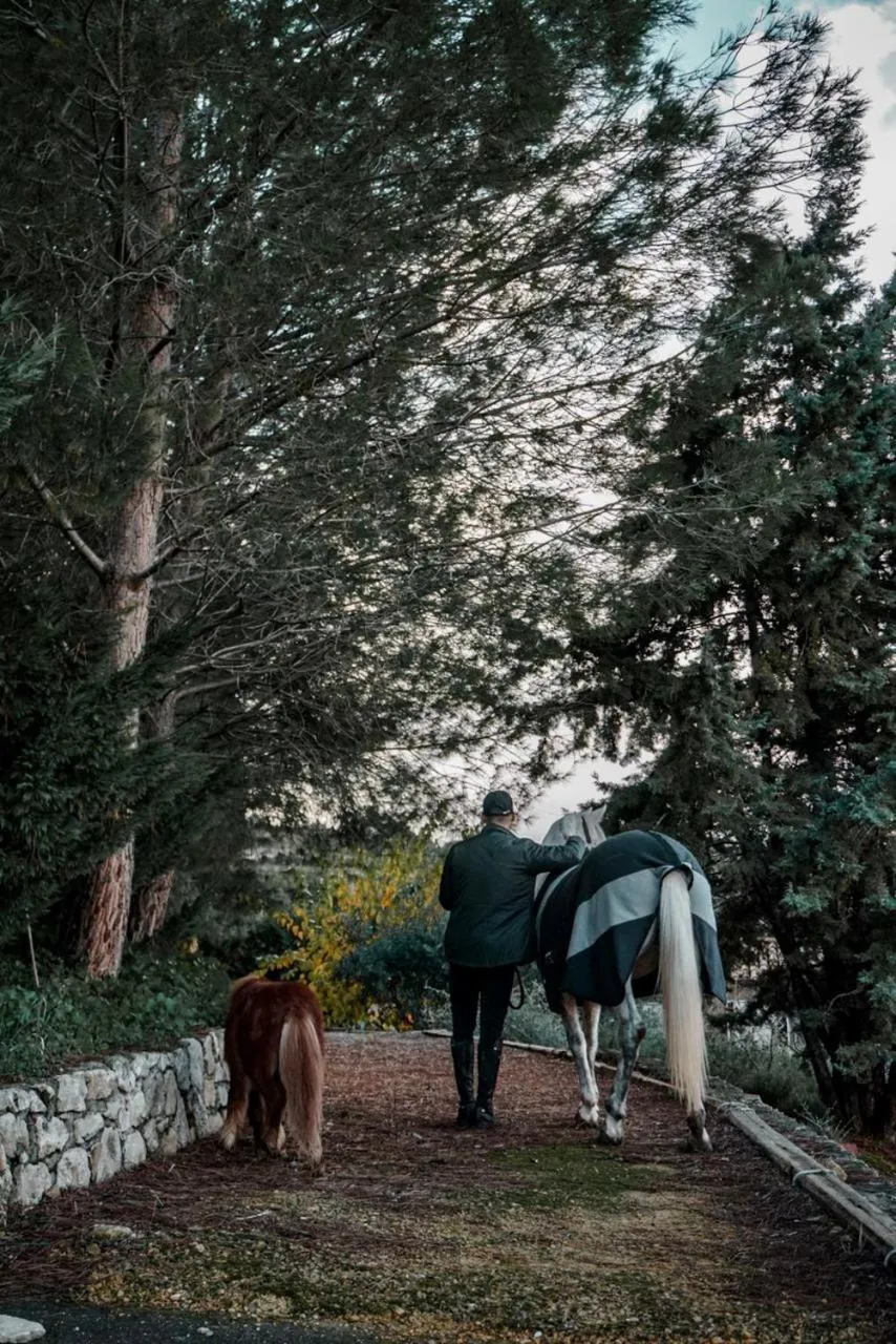 Animals in Rocca dei Saraceni