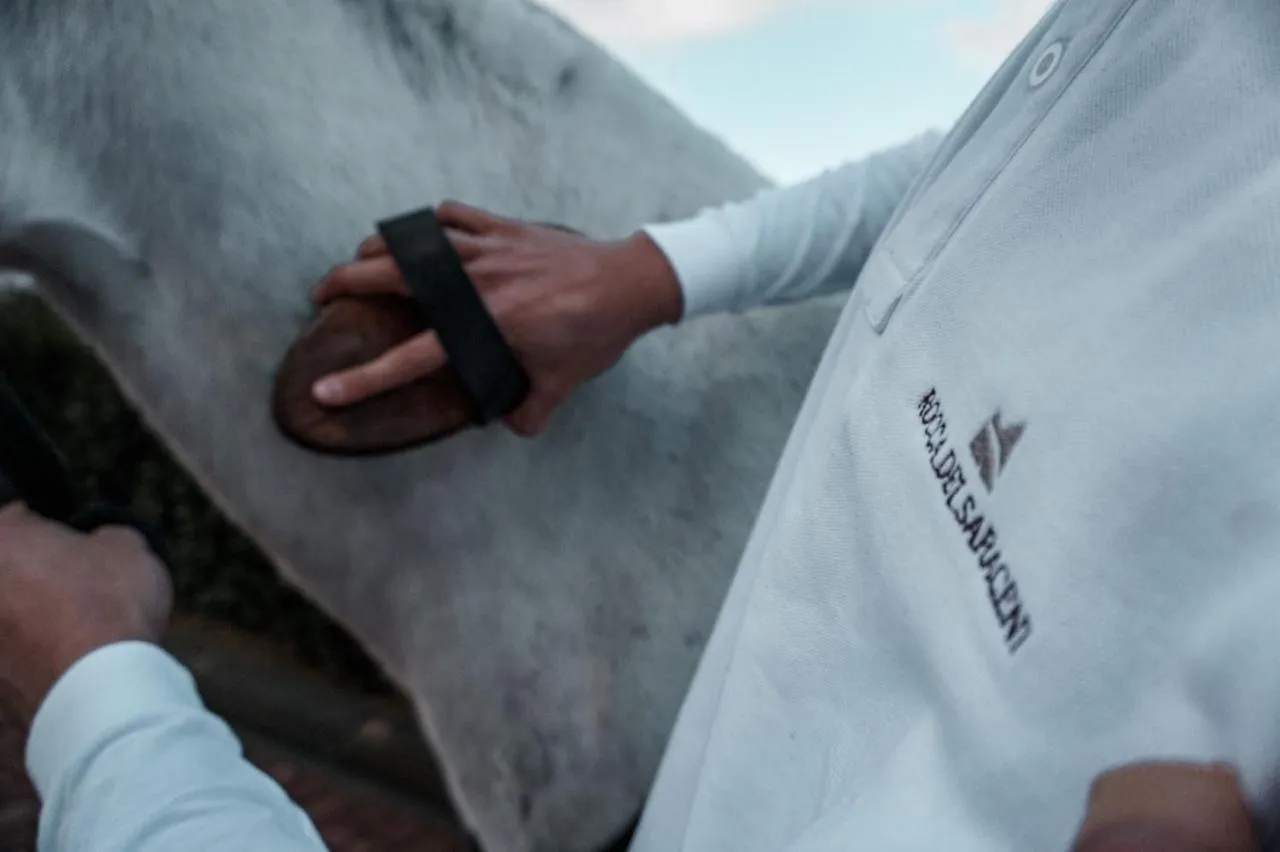 Activities in Rocca dei Saraceni