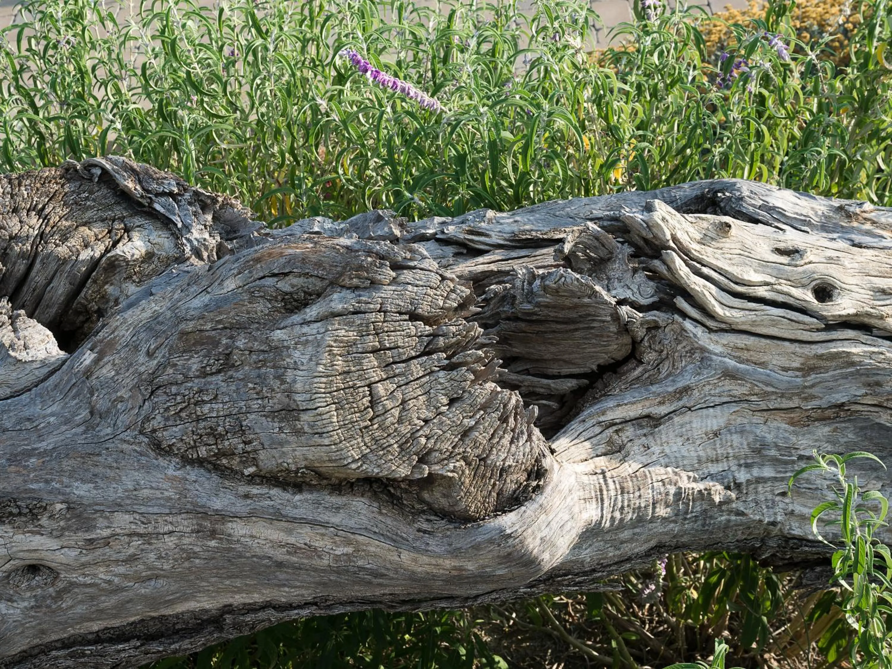 Natural landscape in Rocca dei Saraceni