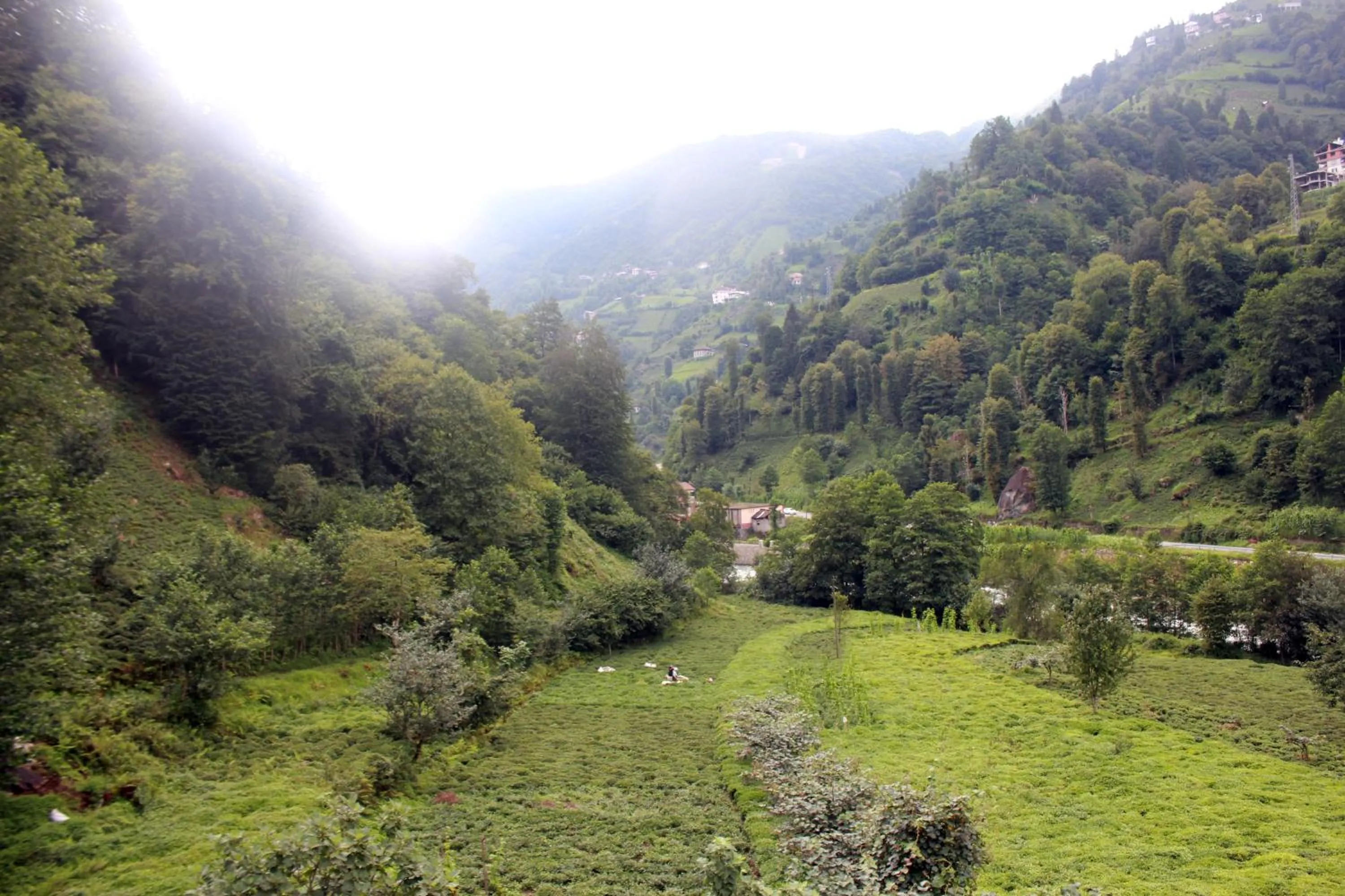 Day in Tanura Bungalows