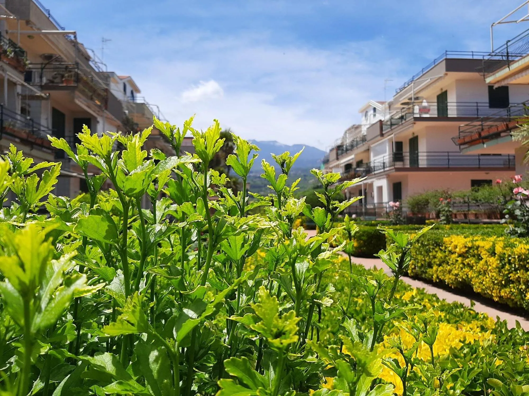 Garden view in Al giardino Sant'Anna