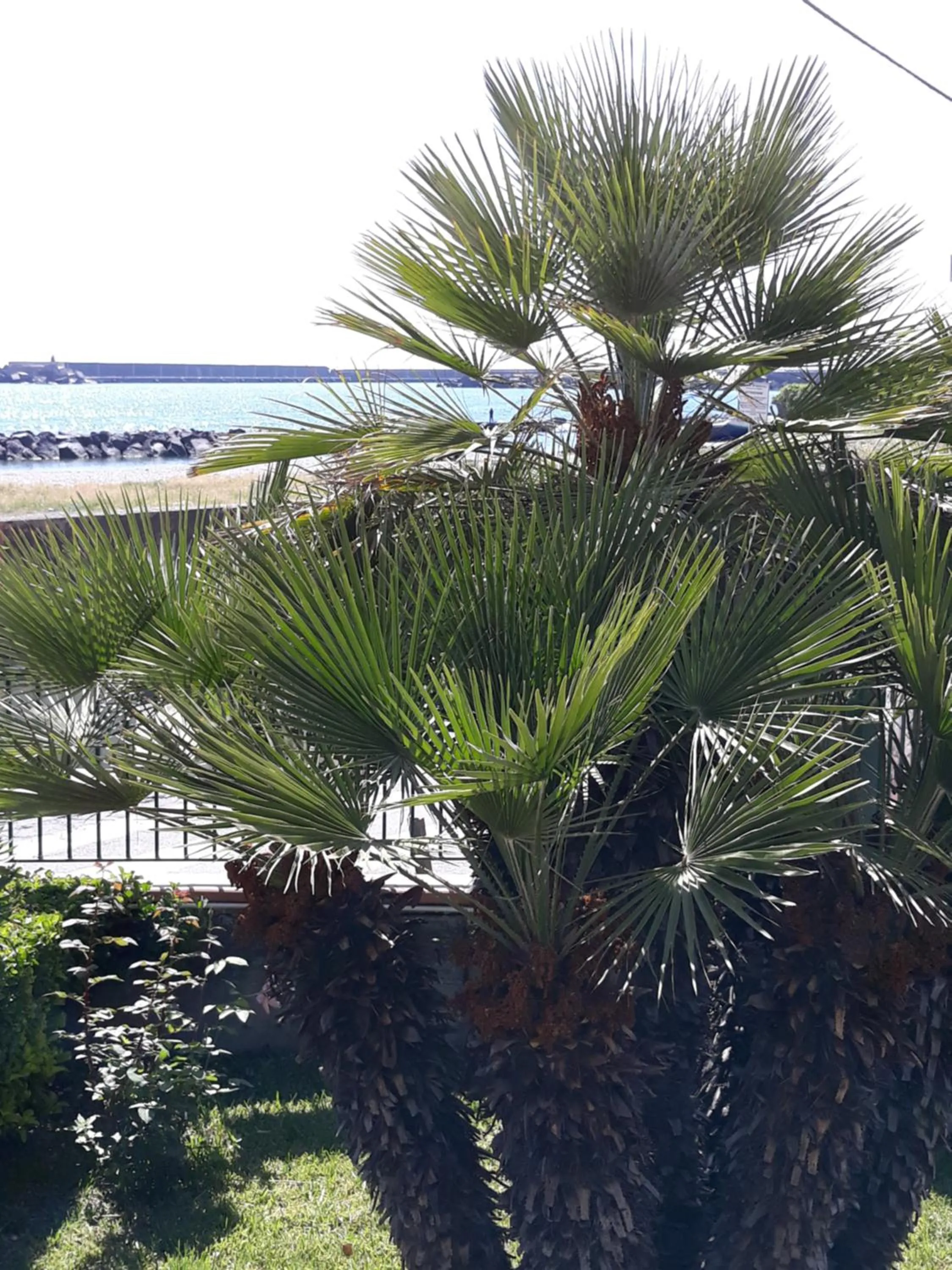 Garden in Al giardino Sant'Anna