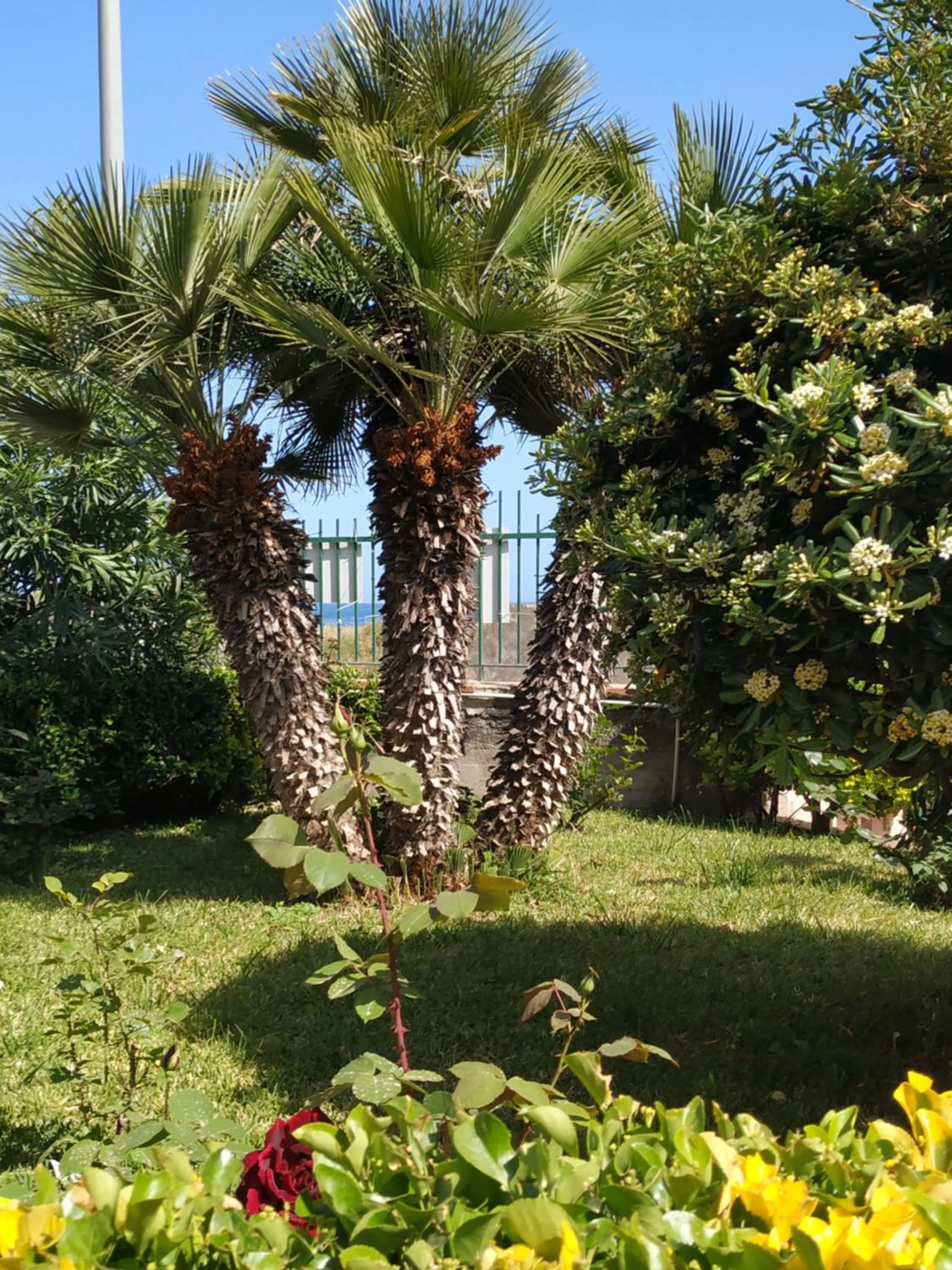 Garden in Al giardino Sant'Anna