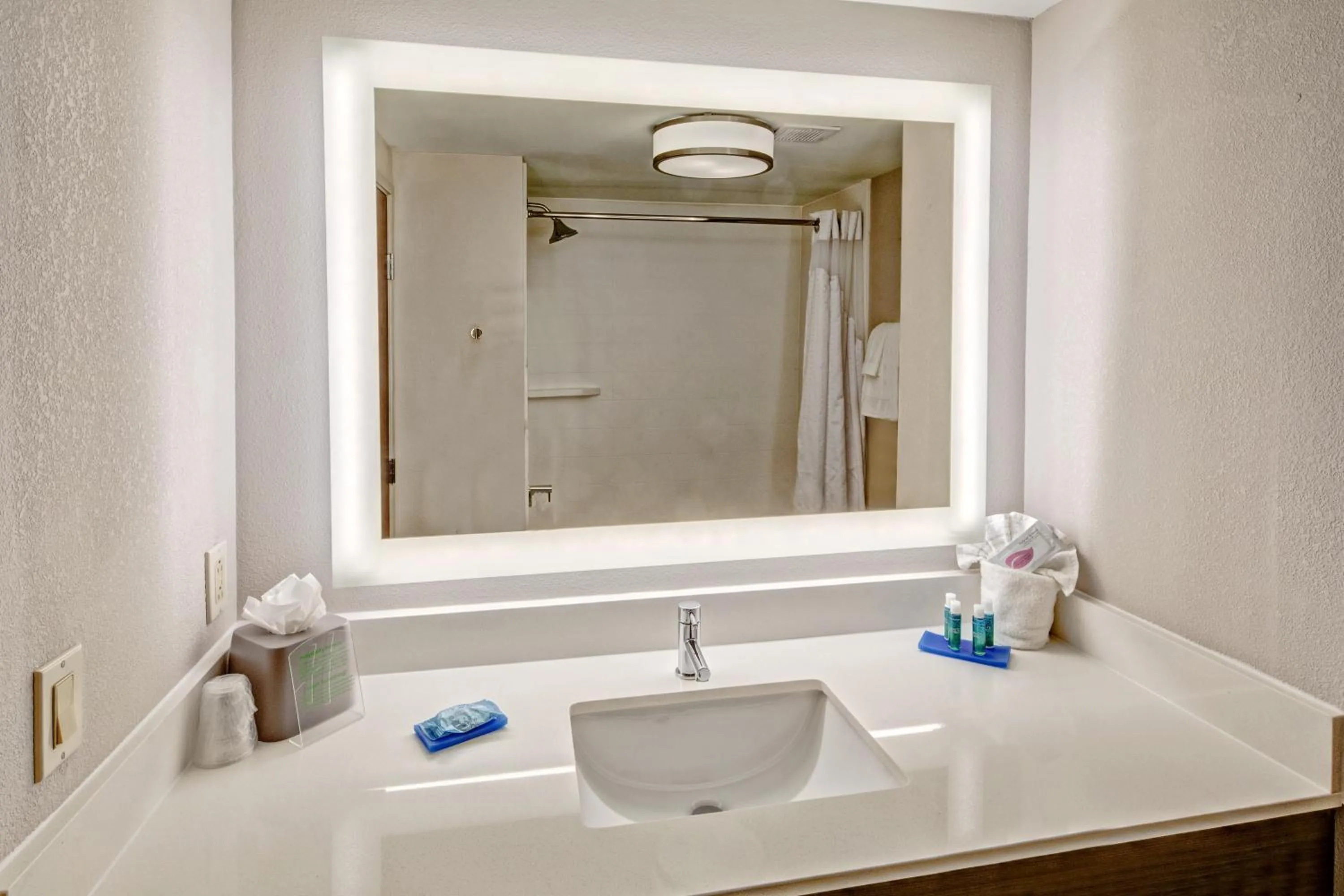 Bathroom in Holiday Inn Express Hotel & Suites Memphis Southwind by IHG