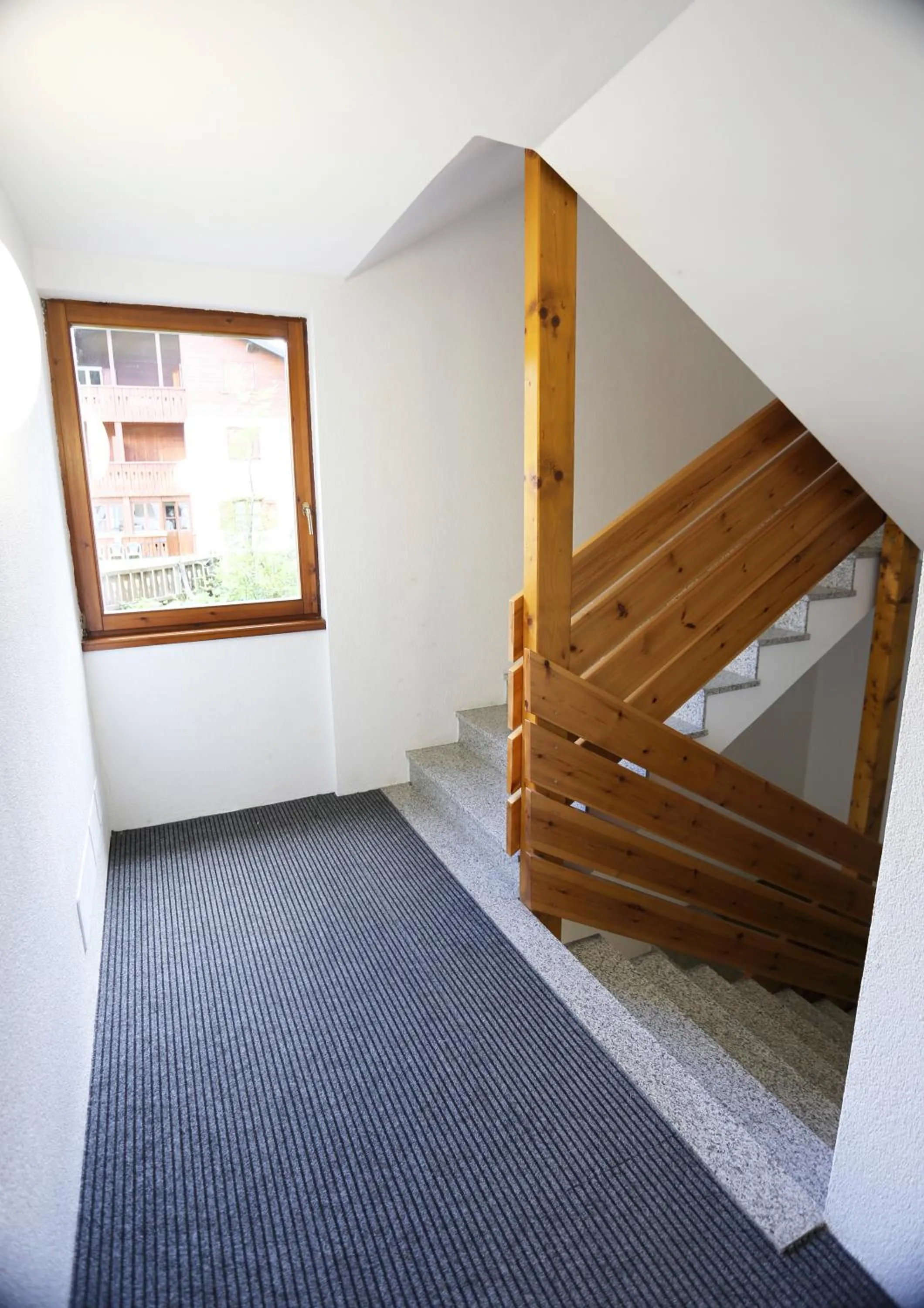 Area and facilities in Residence Primula