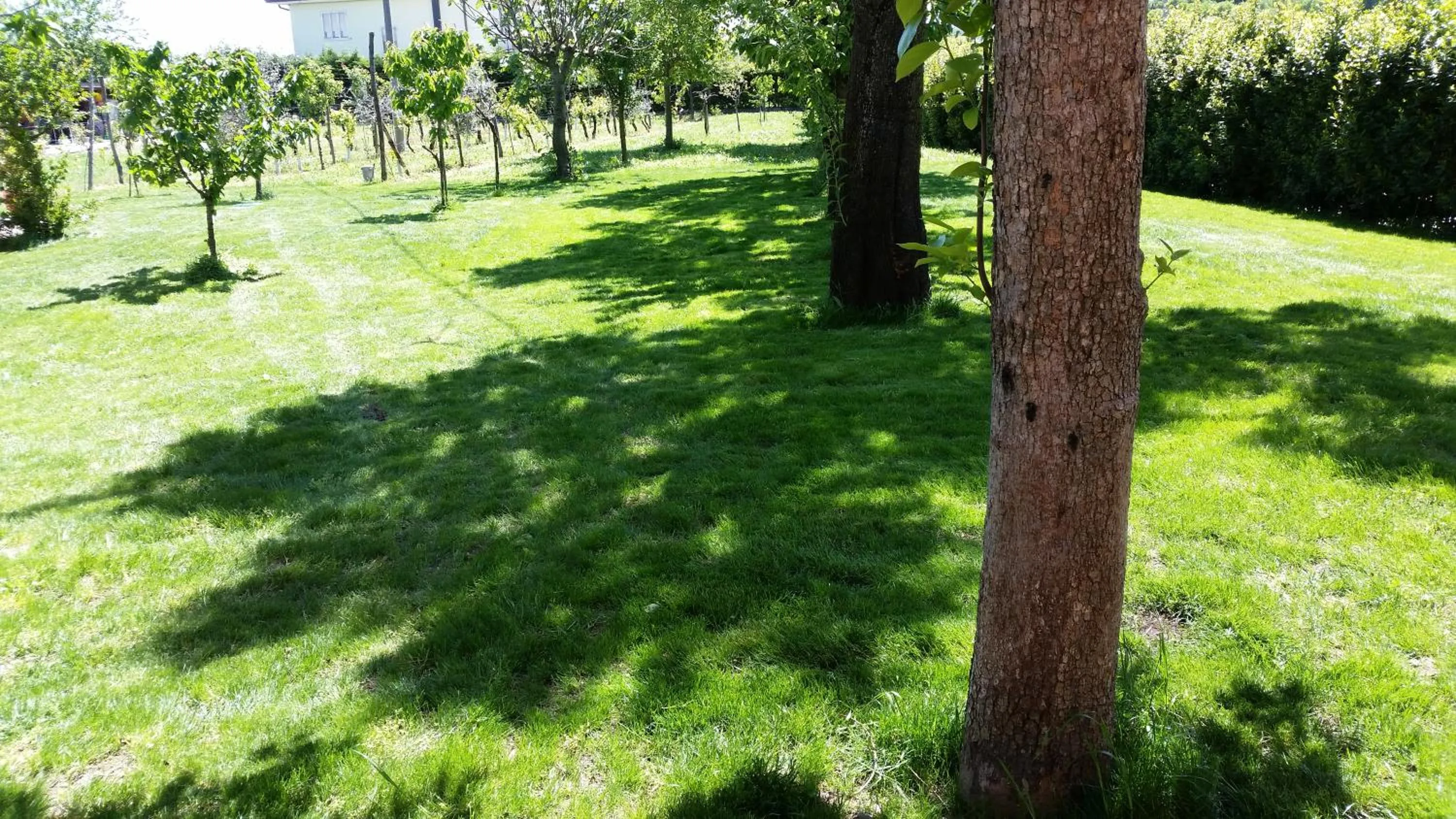 B&B Maison La Coccola