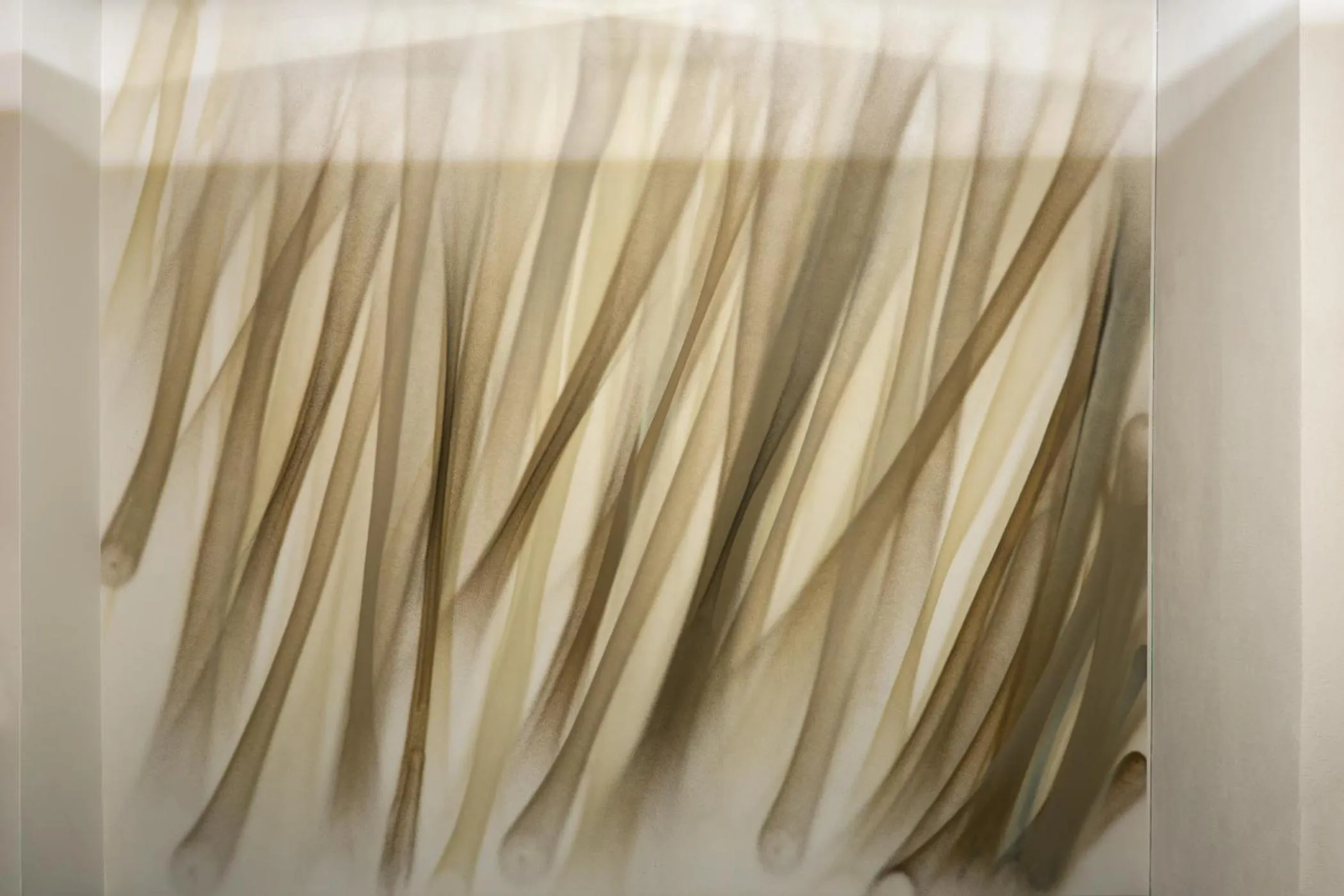 Photo of the whole room in Artagonist Art Hotel