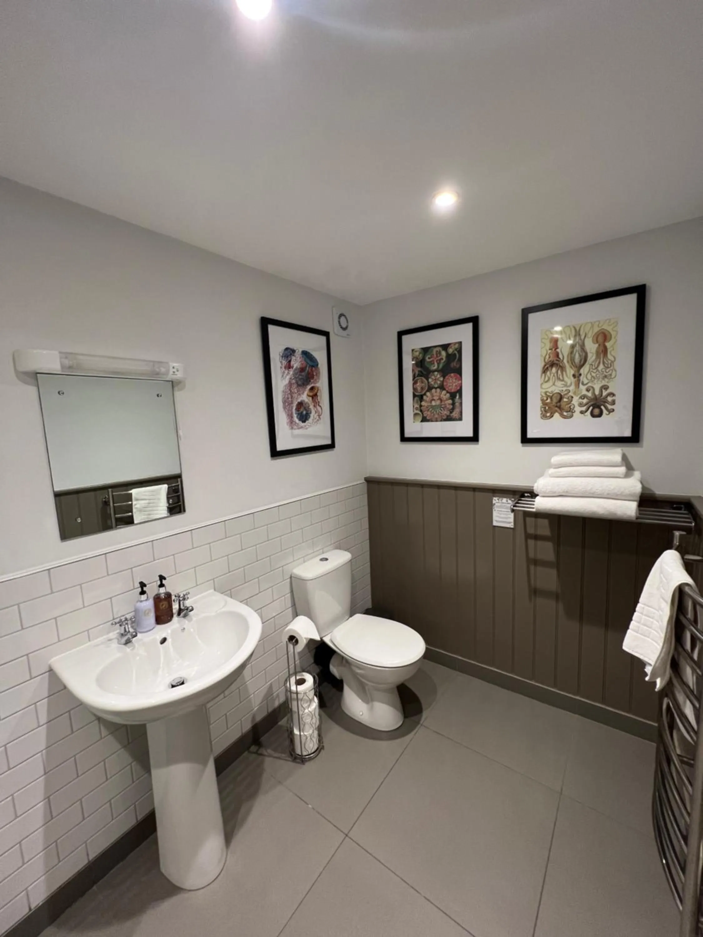 Toilet in White Horse