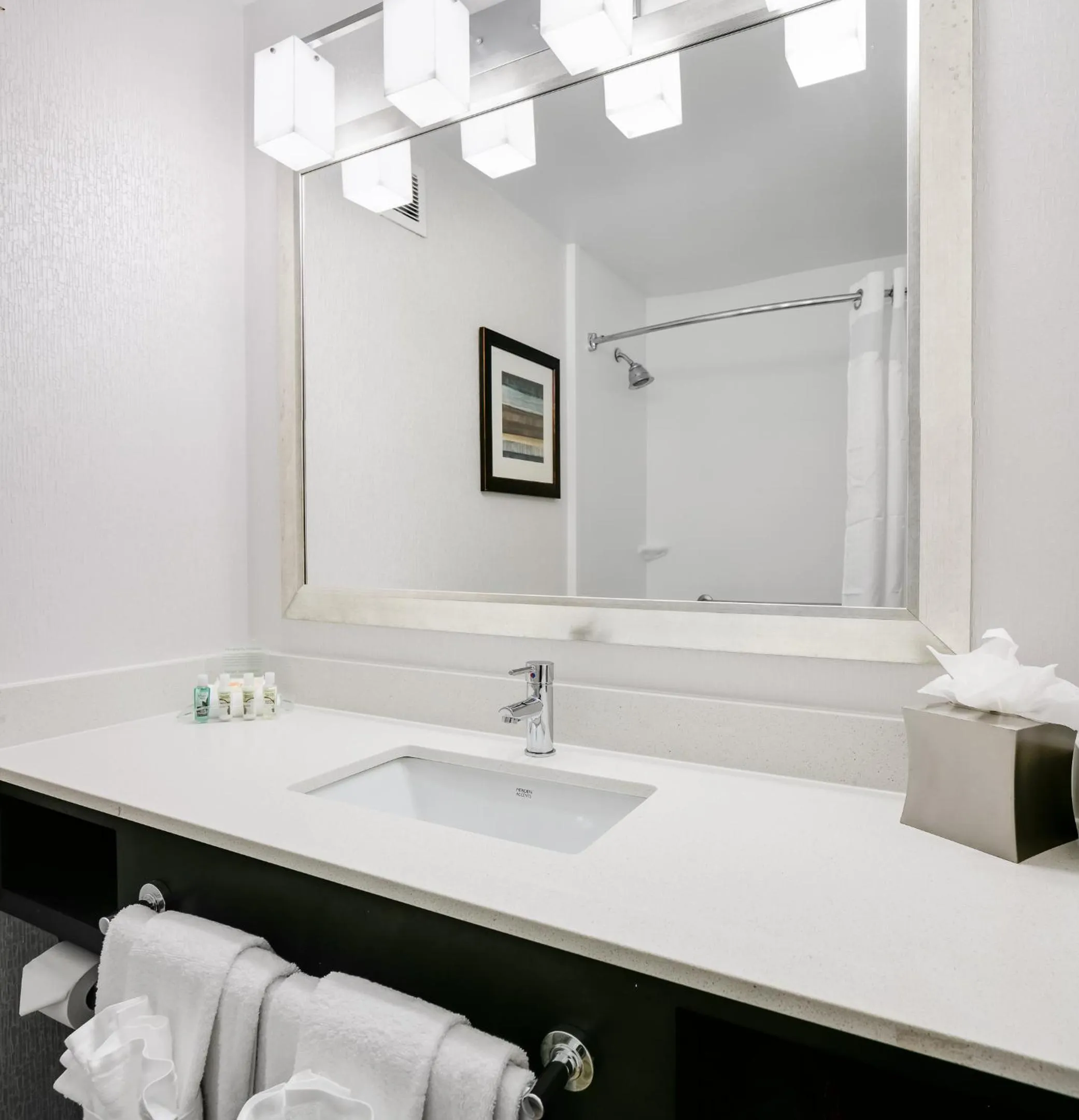 Bathroom in Holiday Inn Hotel & Suites Overland Park-West by IHG
