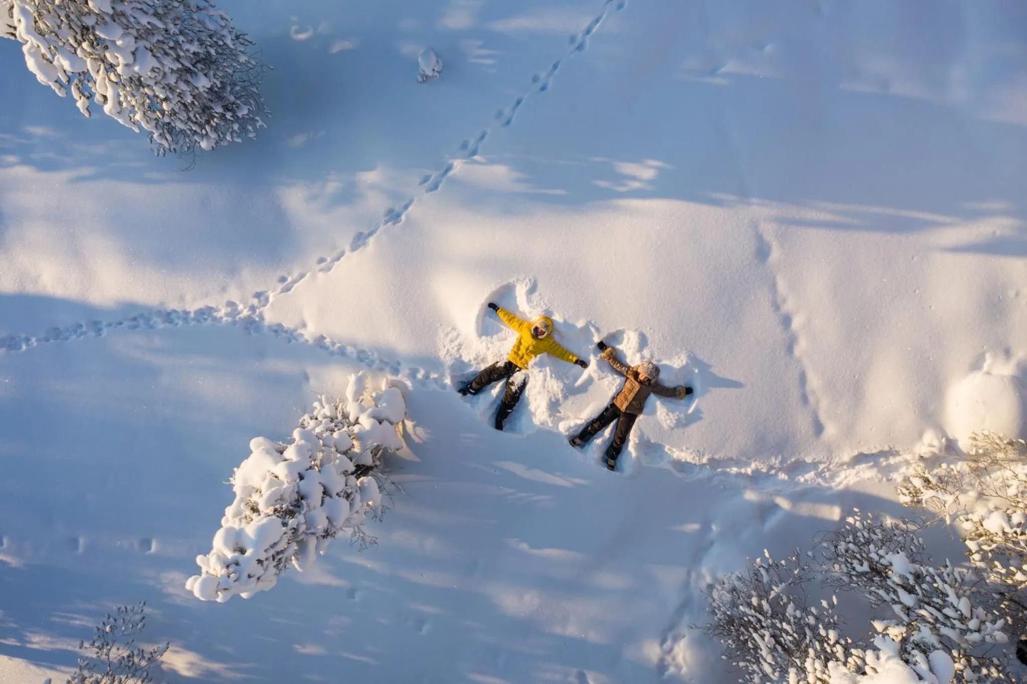 Activities in Arctic TreeHouse Hotel