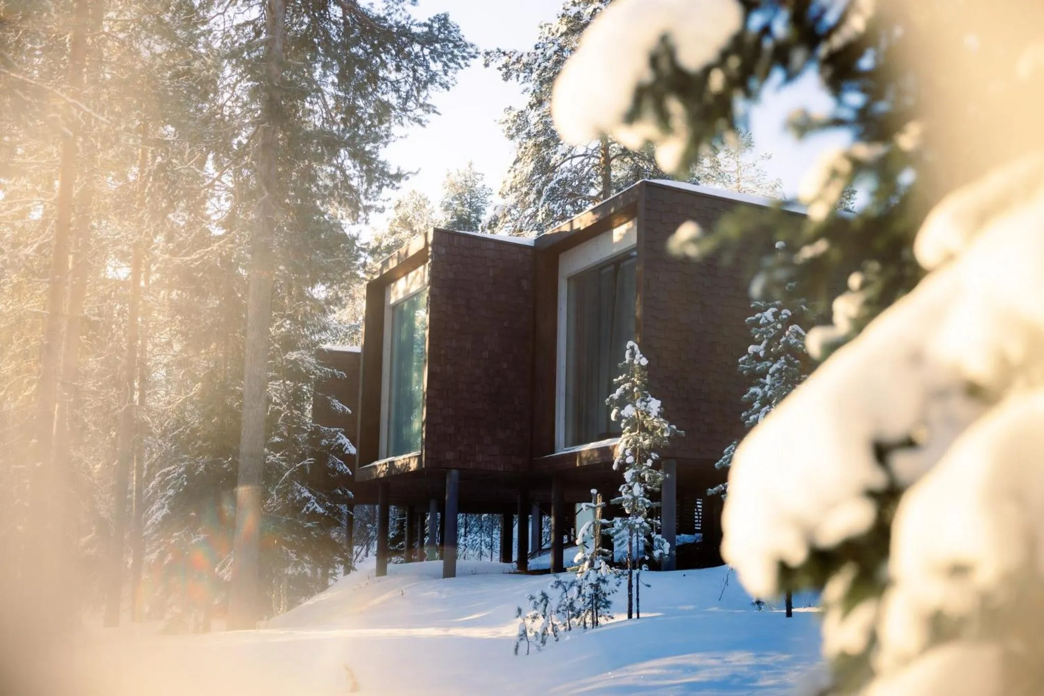 Property building in Arctic TreeHouse Hotel