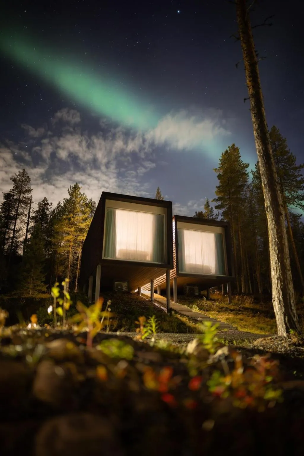 Property building in Arctic TreeHouse Hotel
