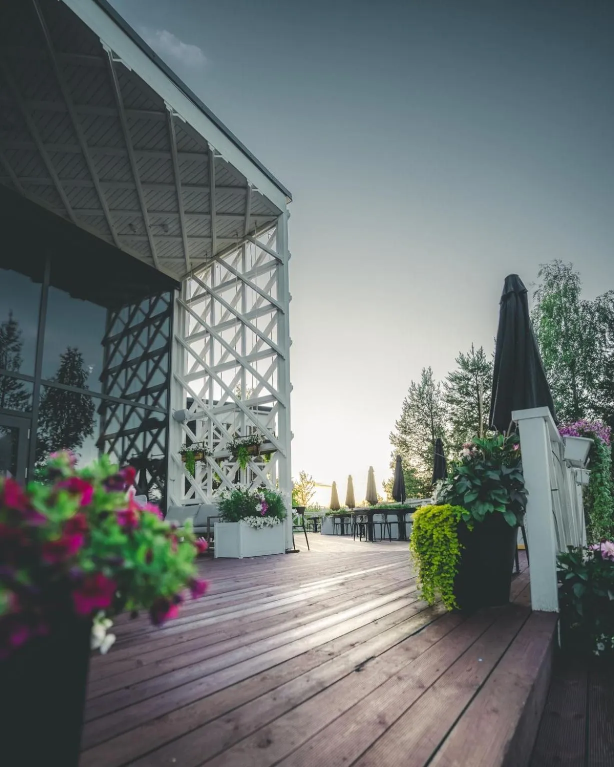 Balcony/Terrace in Arctic TreeHouse Hotel