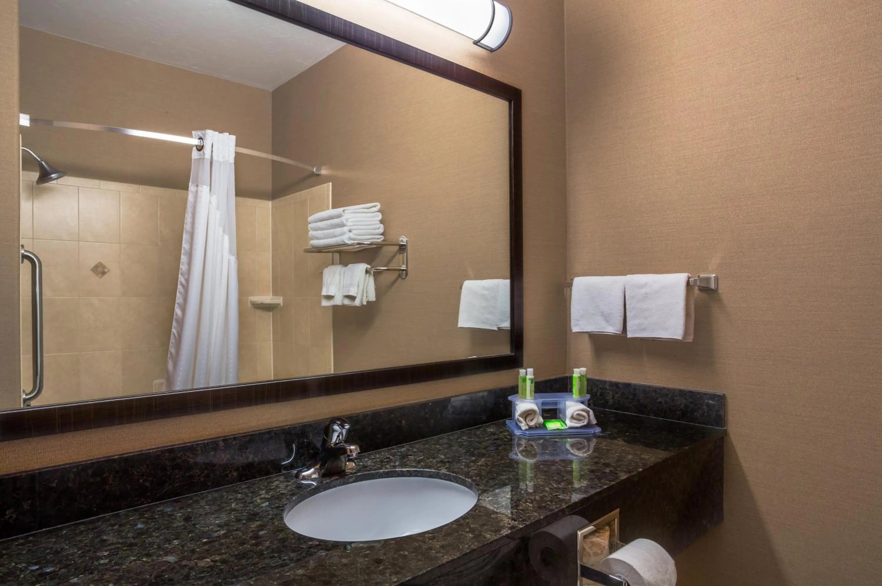 Bathroom in Holiday Inn Express Hotel & Suites Moab by IHG