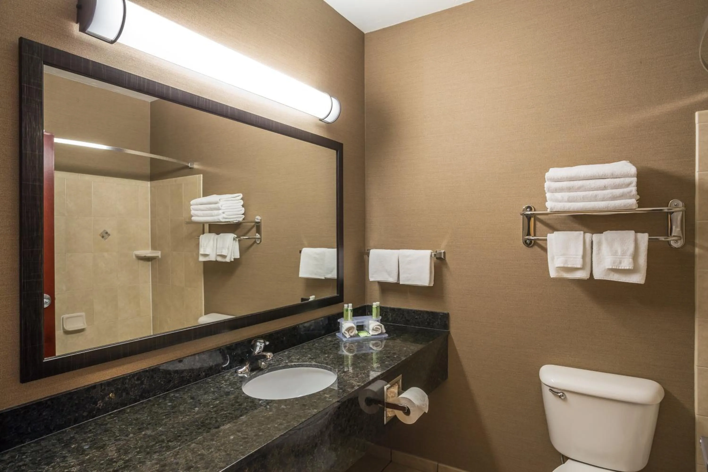 Bathroom in Holiday Inn Express Hotel & Suites Moab by IHG