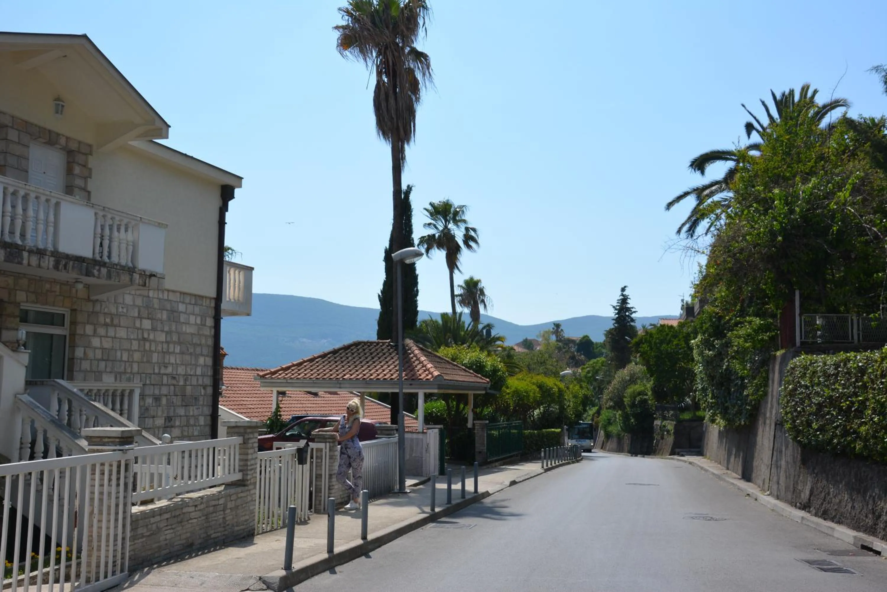 Petrovic house