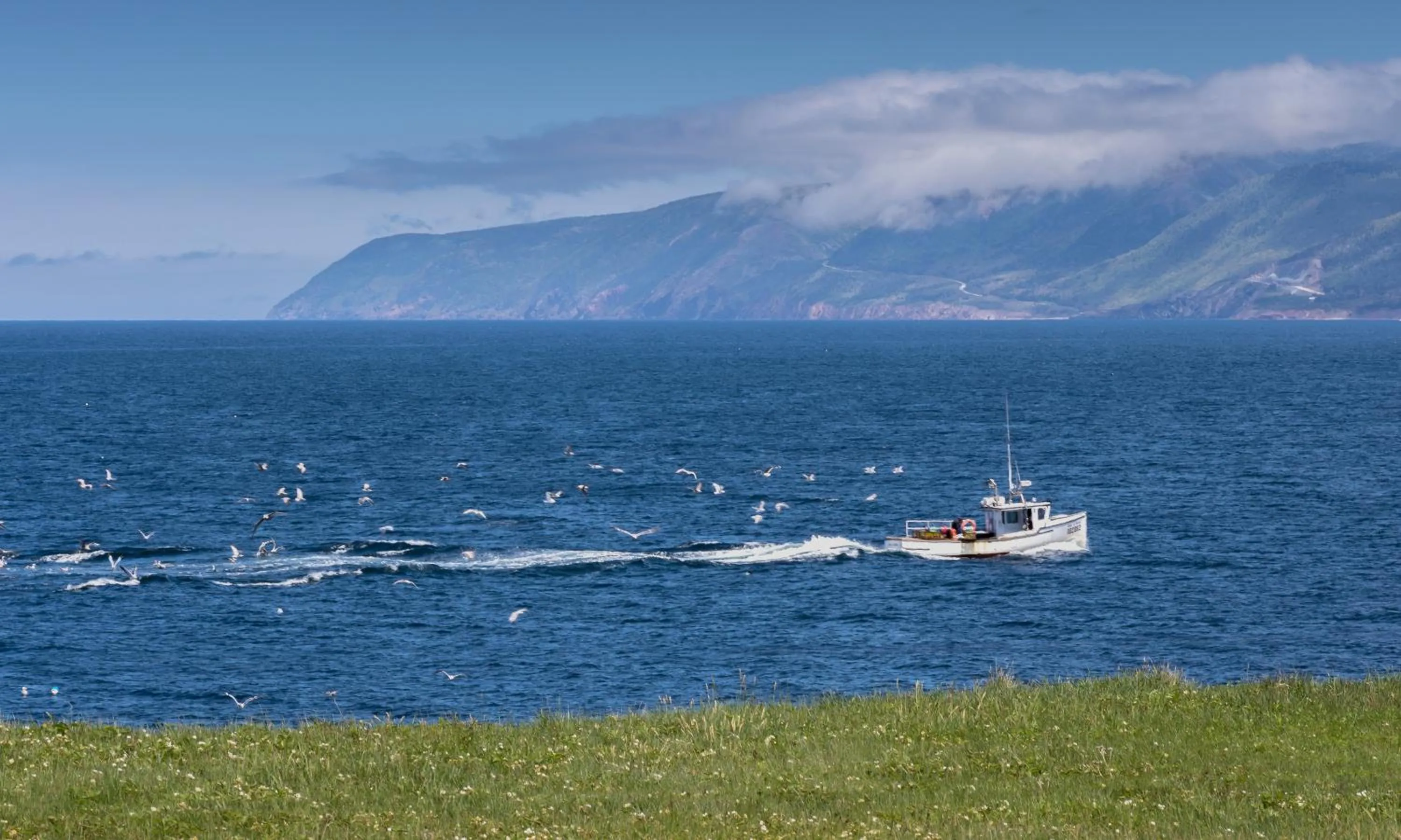 Day in The Archie & Isidore Hotel