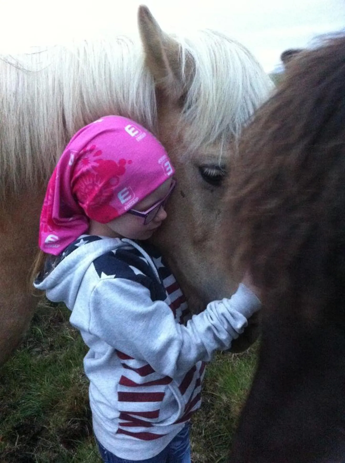 Animals in Lindartún Guesthouse