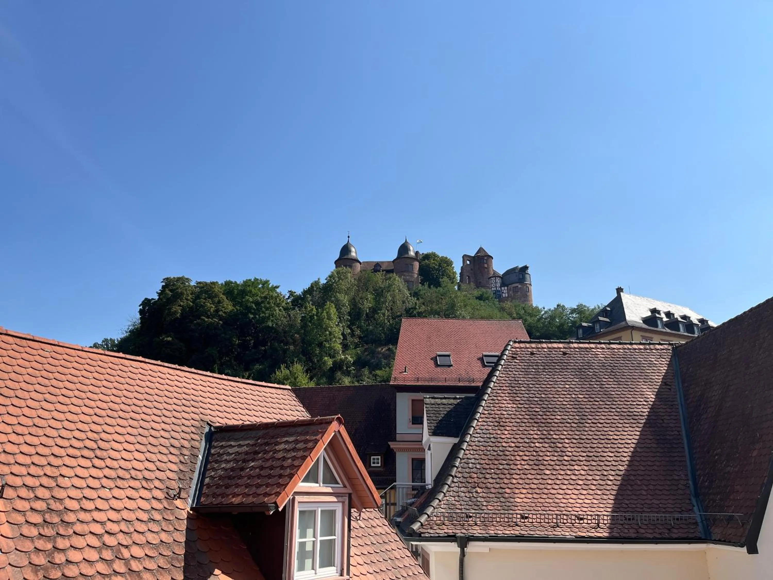 Nearby landmark in La Flamme Wertheim garni