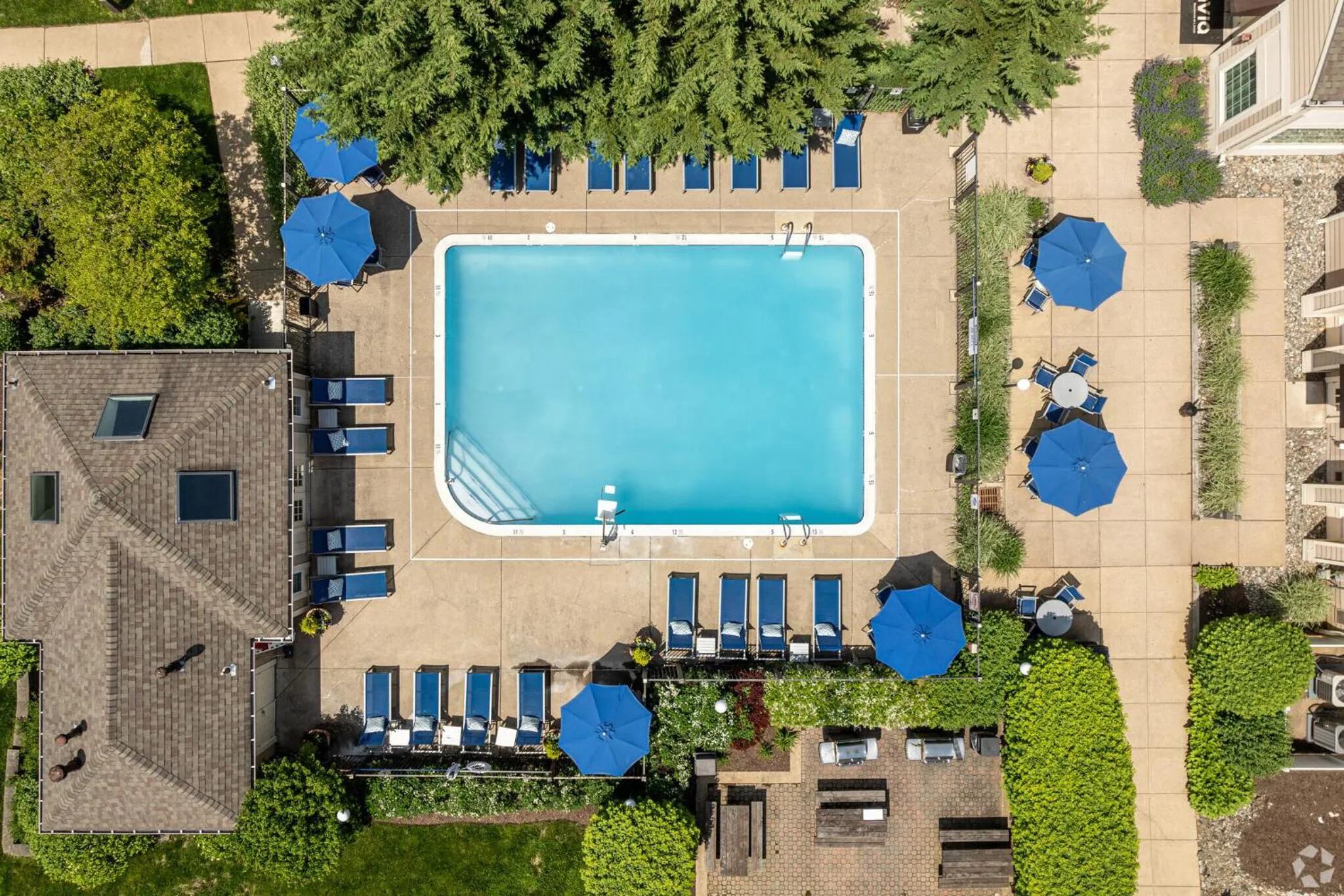 Swimming pool in Avia Residences on Lincoln - Extended Stay