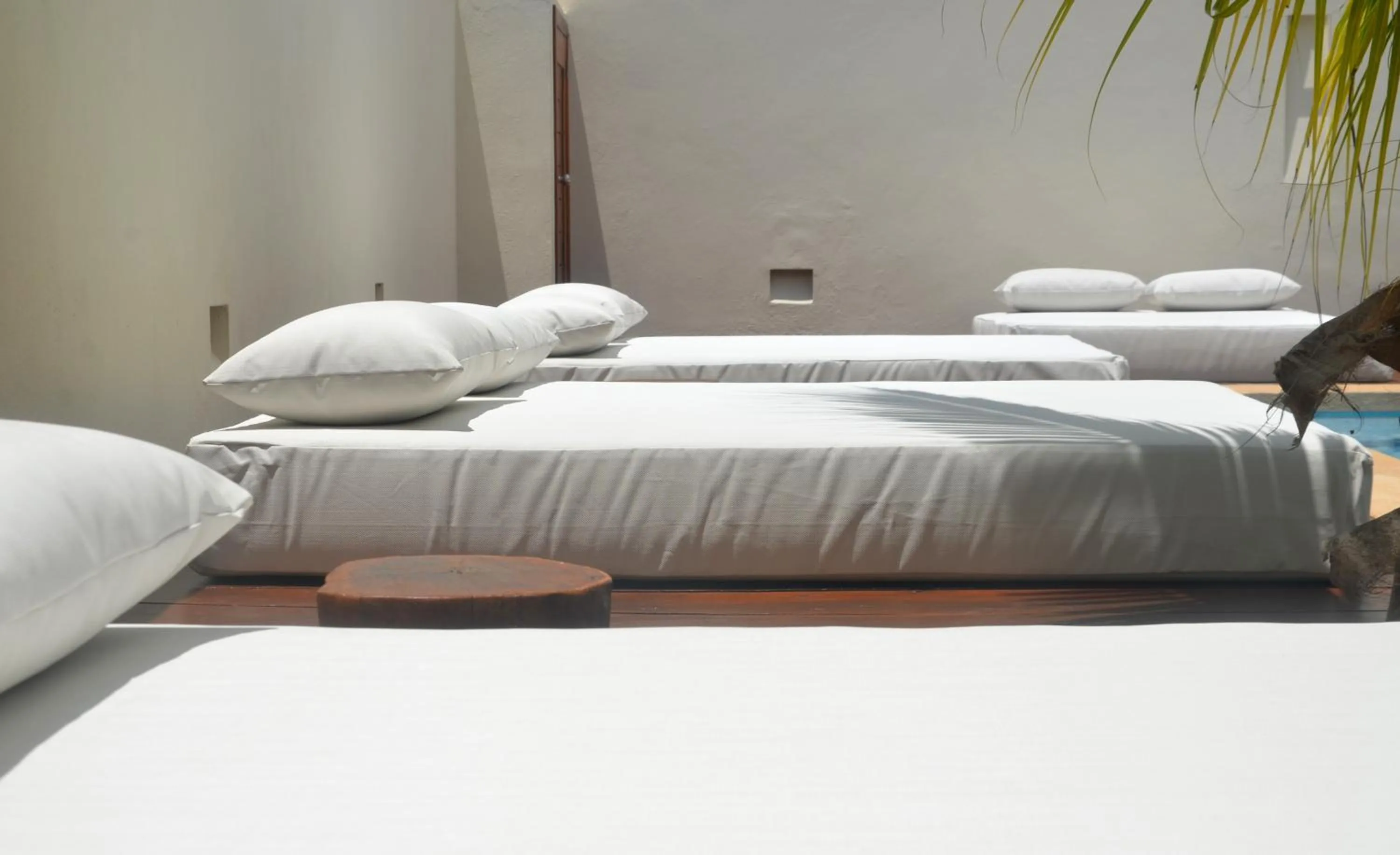 Pool view, Bed in Tierra del Mar Hotel - Adults Only