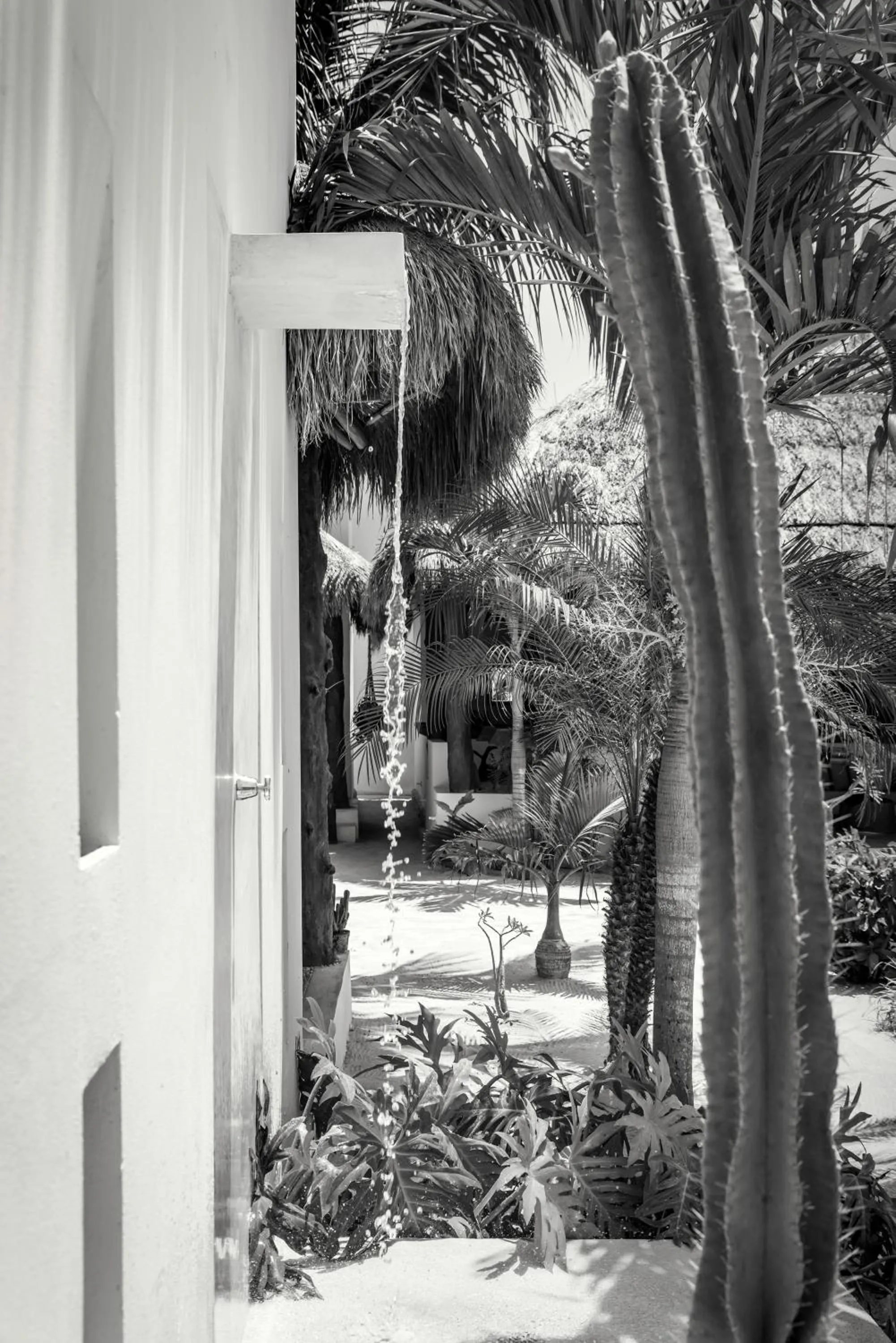 Decorative detail in Tierra del Mar Hotel - Adults Only