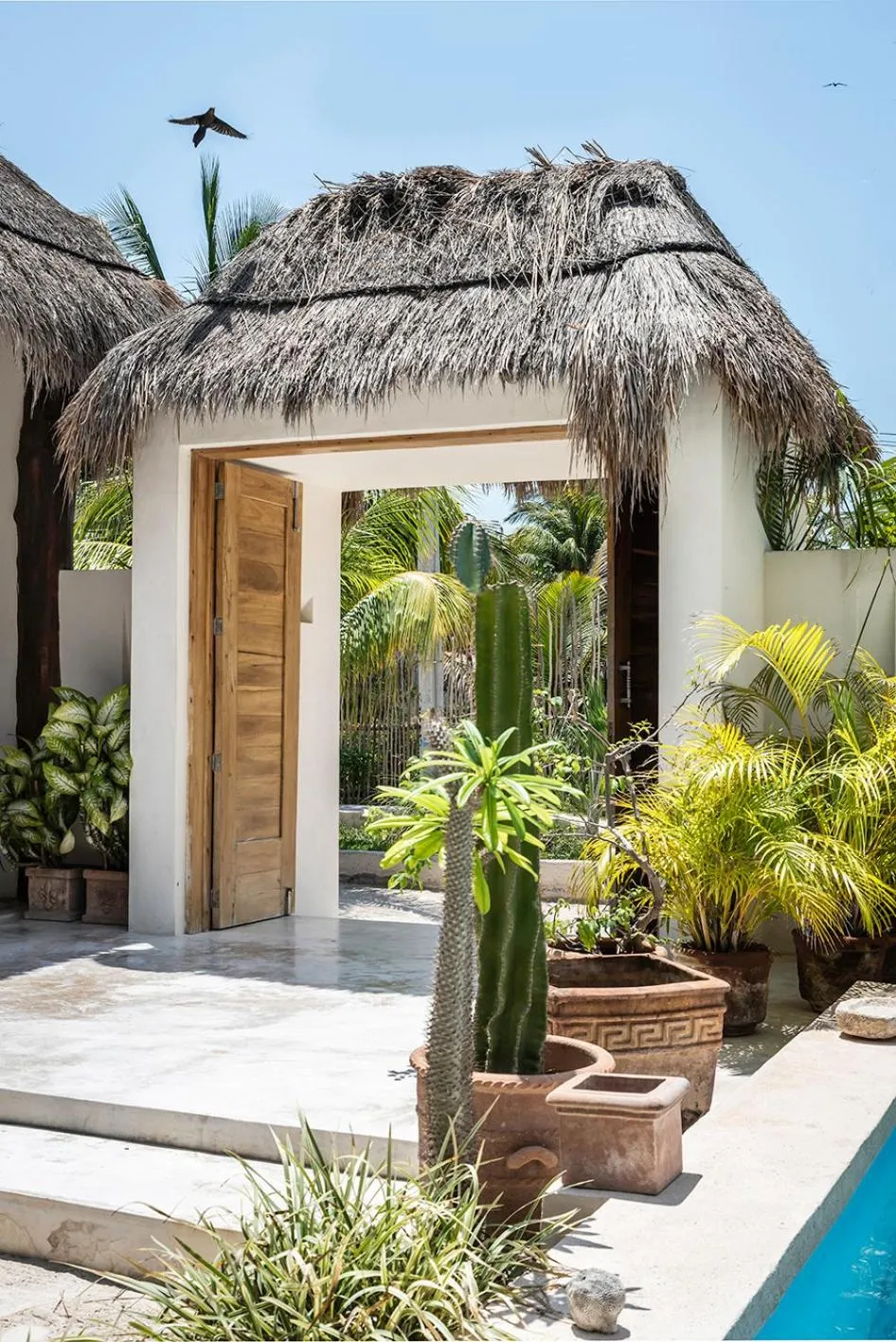 Facade/entrance in Tierra del Mar Hotel - Adults Only