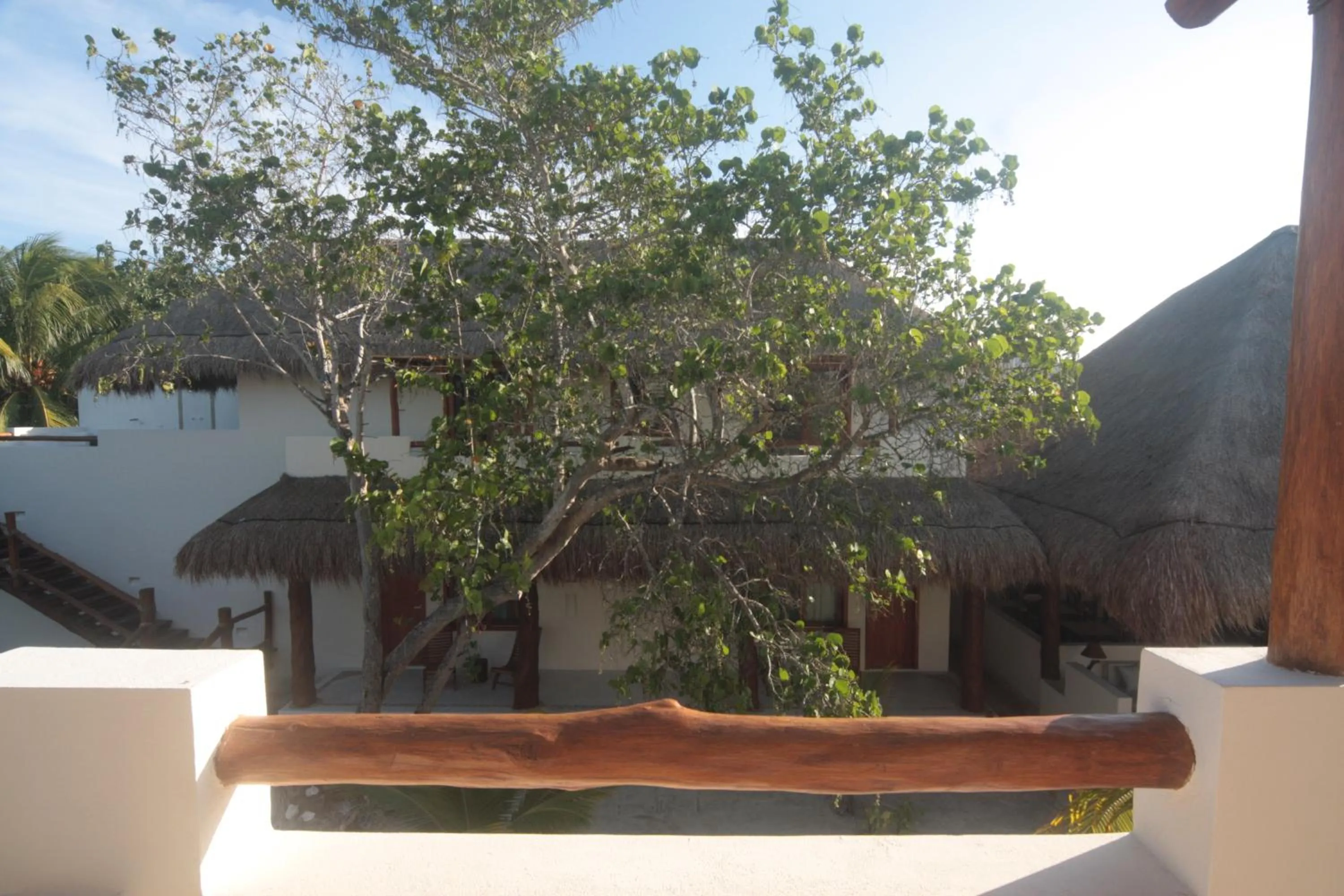 Garden view in Tierra del Mar Hotel - Adults Only