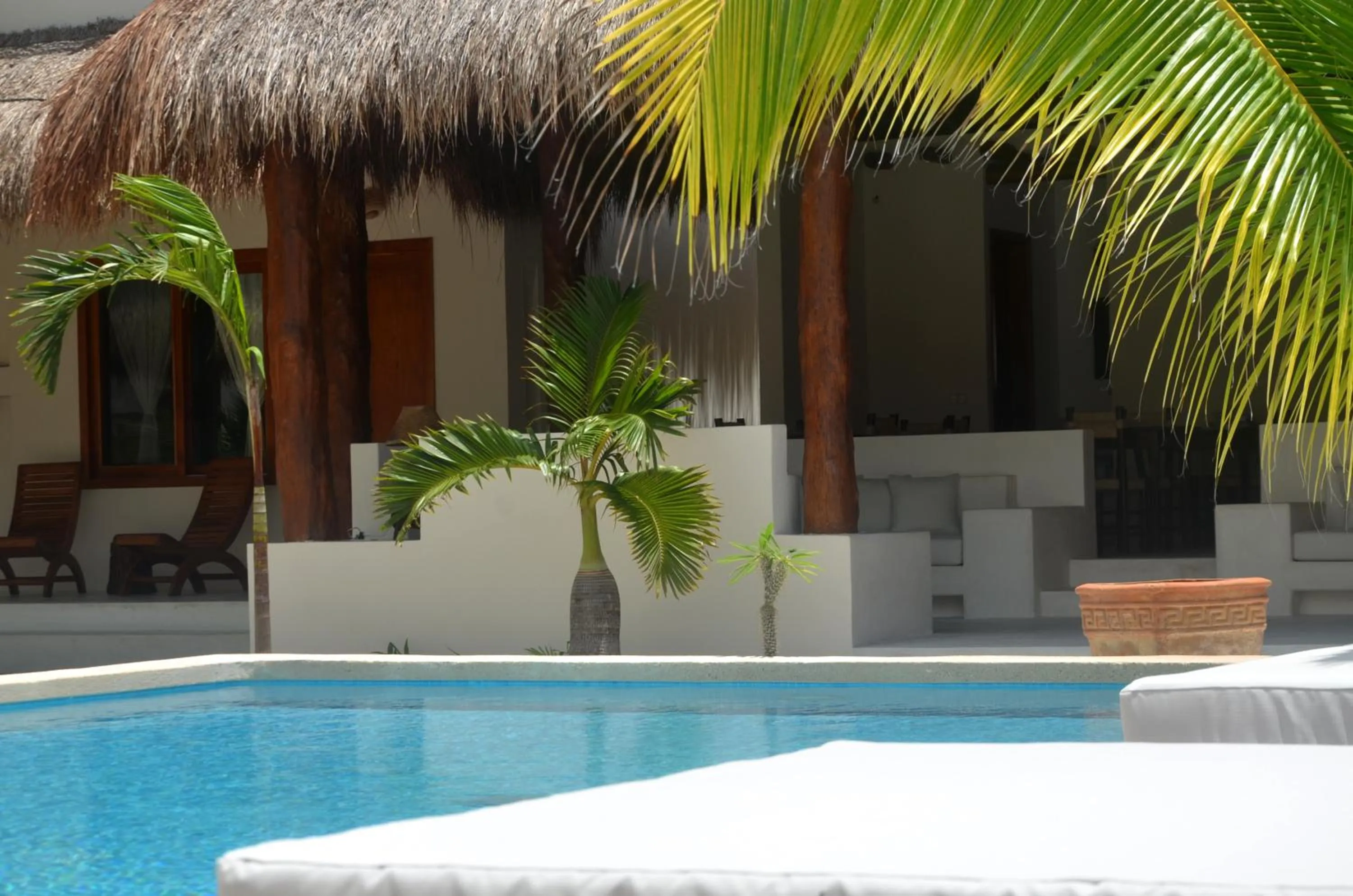 Swimming pool in Tierra del Mar Hotel - Adults Only