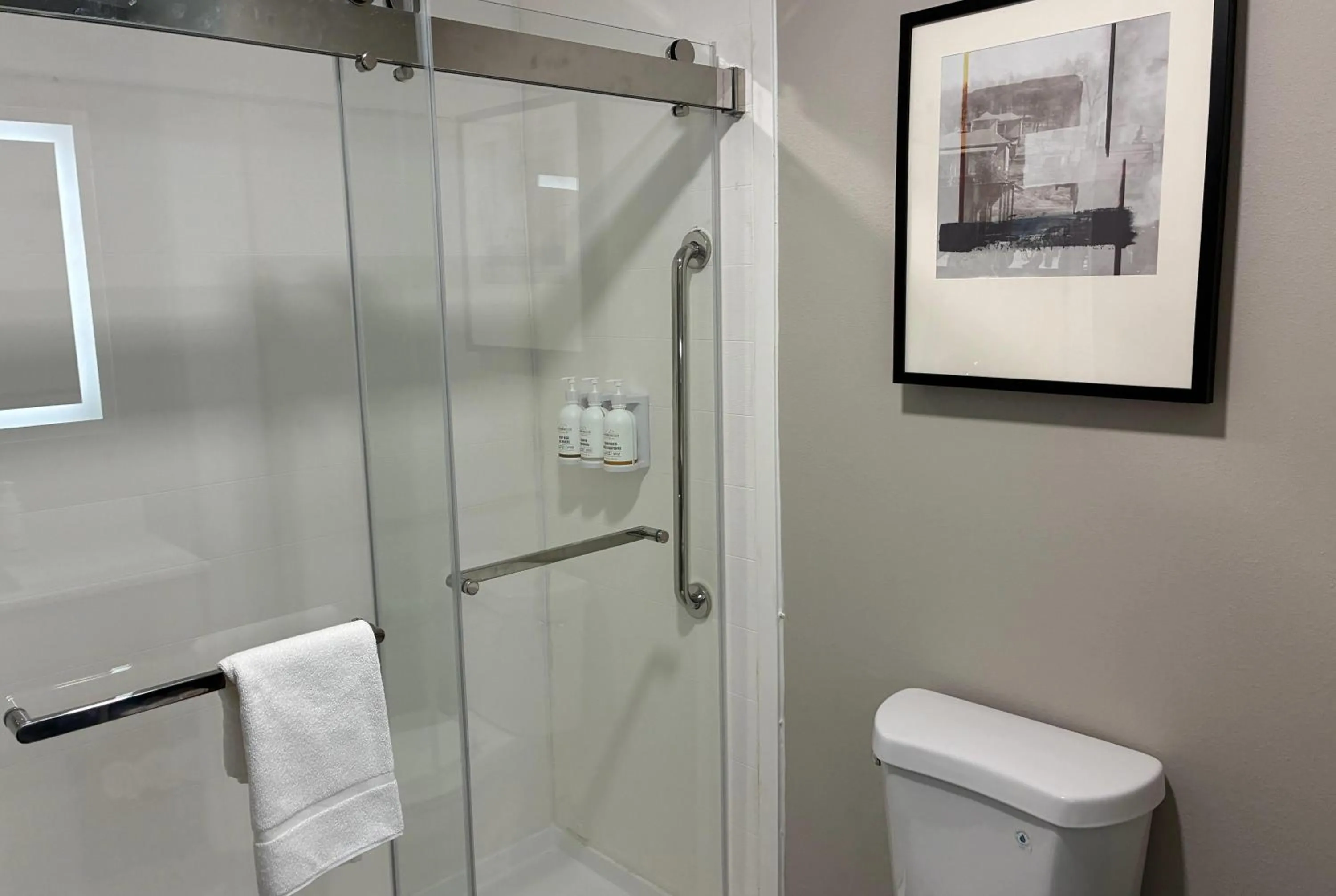 Bathroom in La Quinta Inn & Suites by Wyndham Bessemer