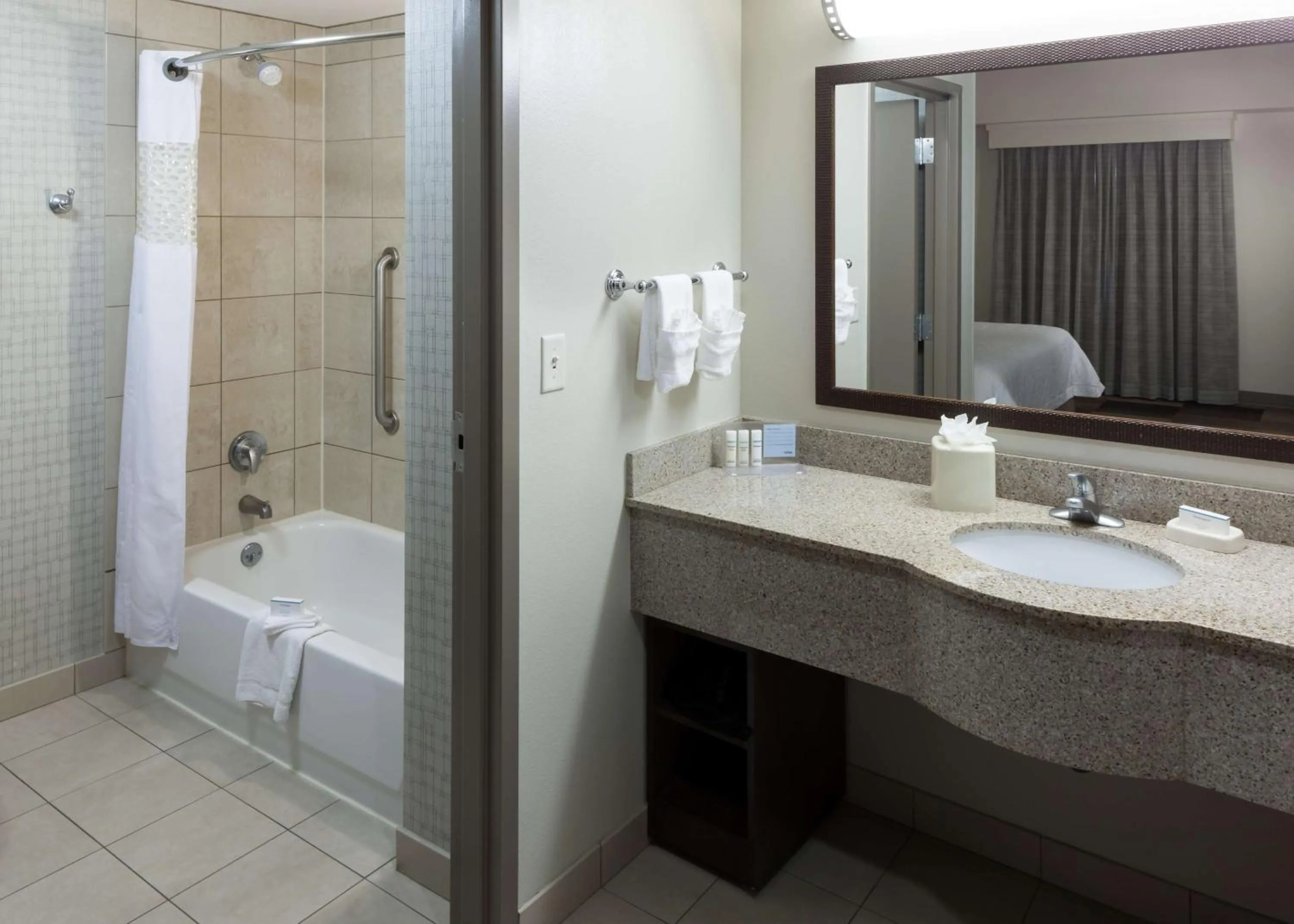 Bathroom in Hampton Inn & Suites Boise-Downtown