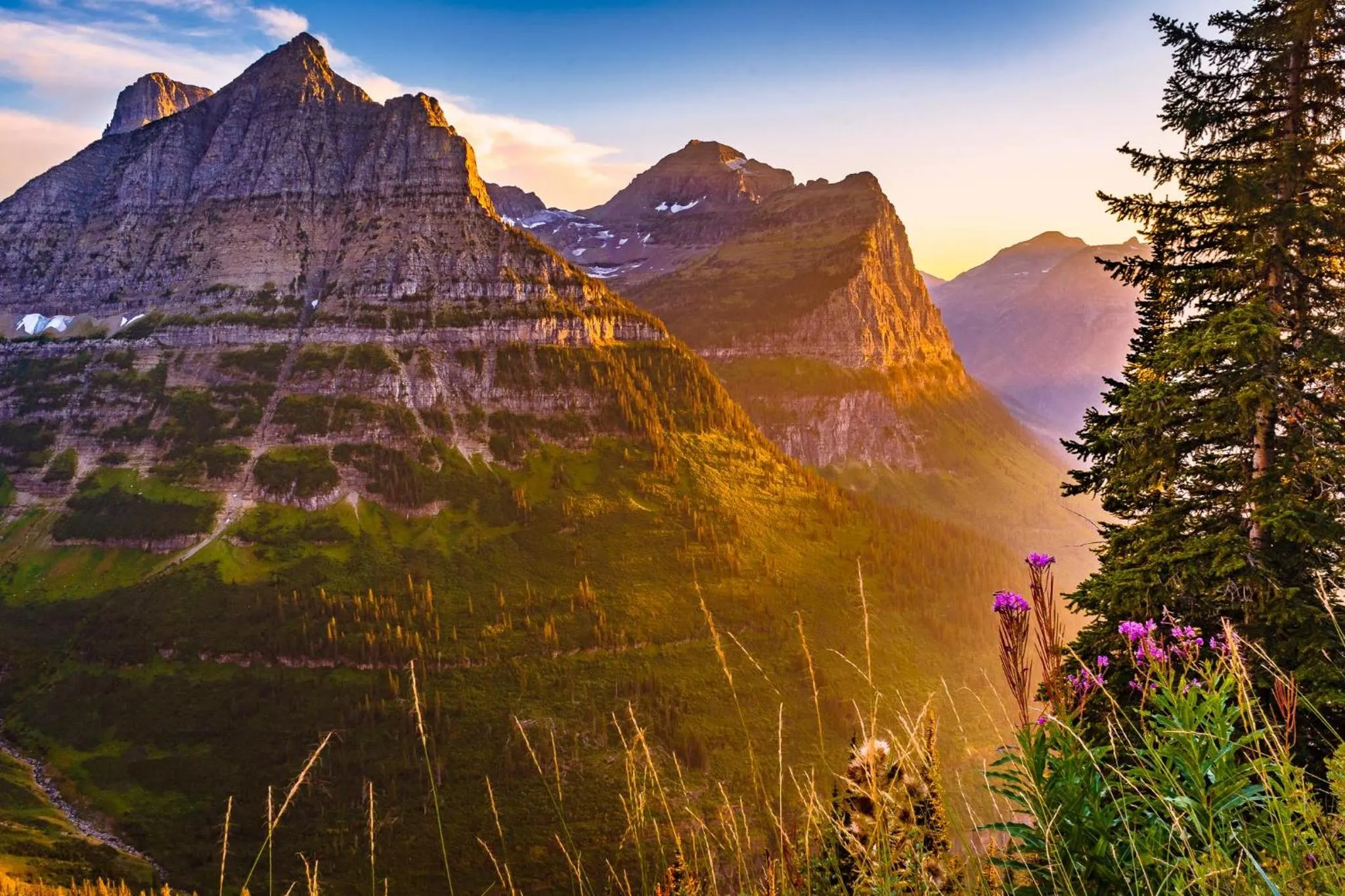 Natural landscape in Coyote Bluff Estate
