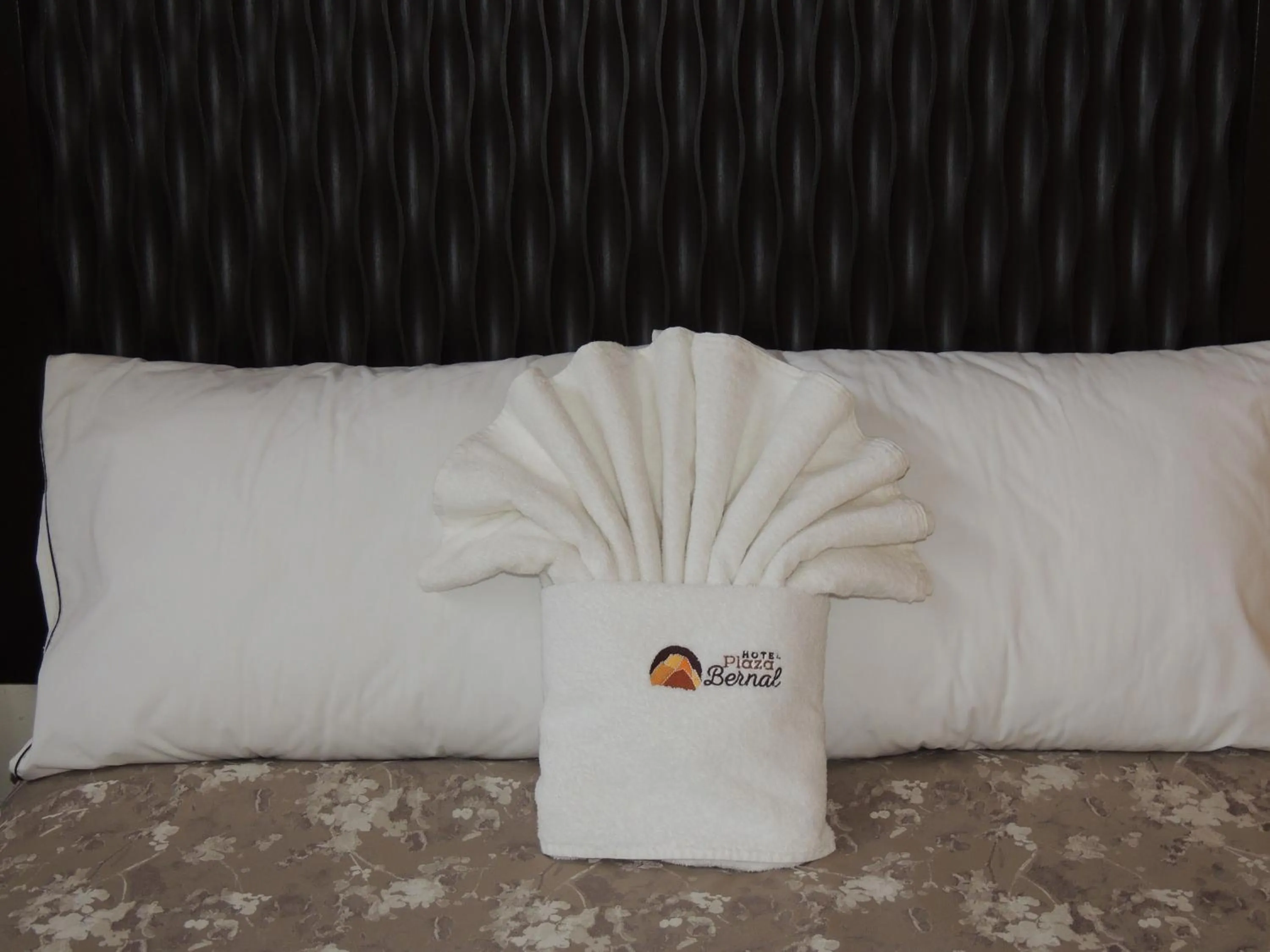 Decorative detail in Hotel Plaza Bernal