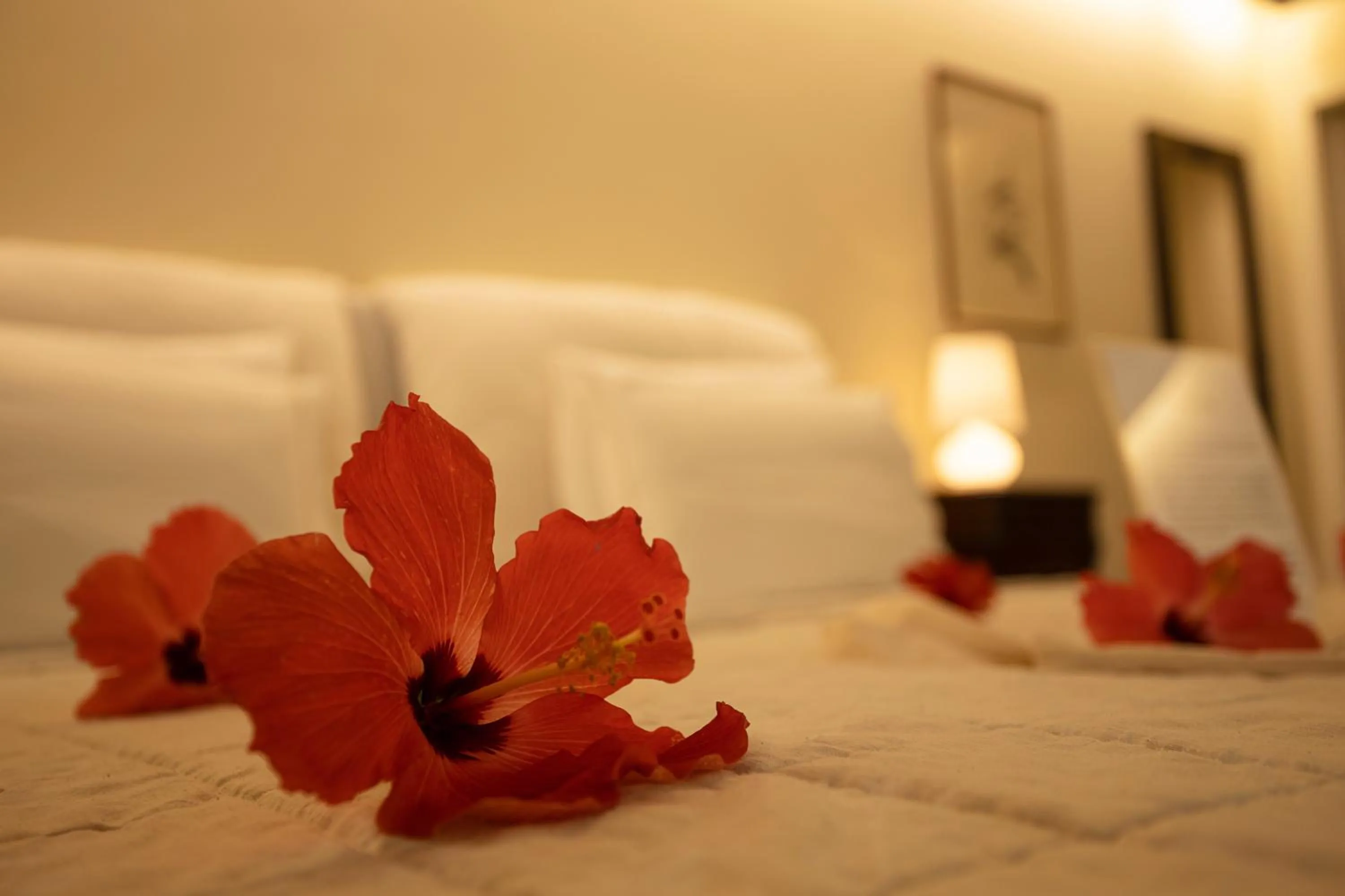 Bed in Beija Flor Exclusive Hotel & Spa