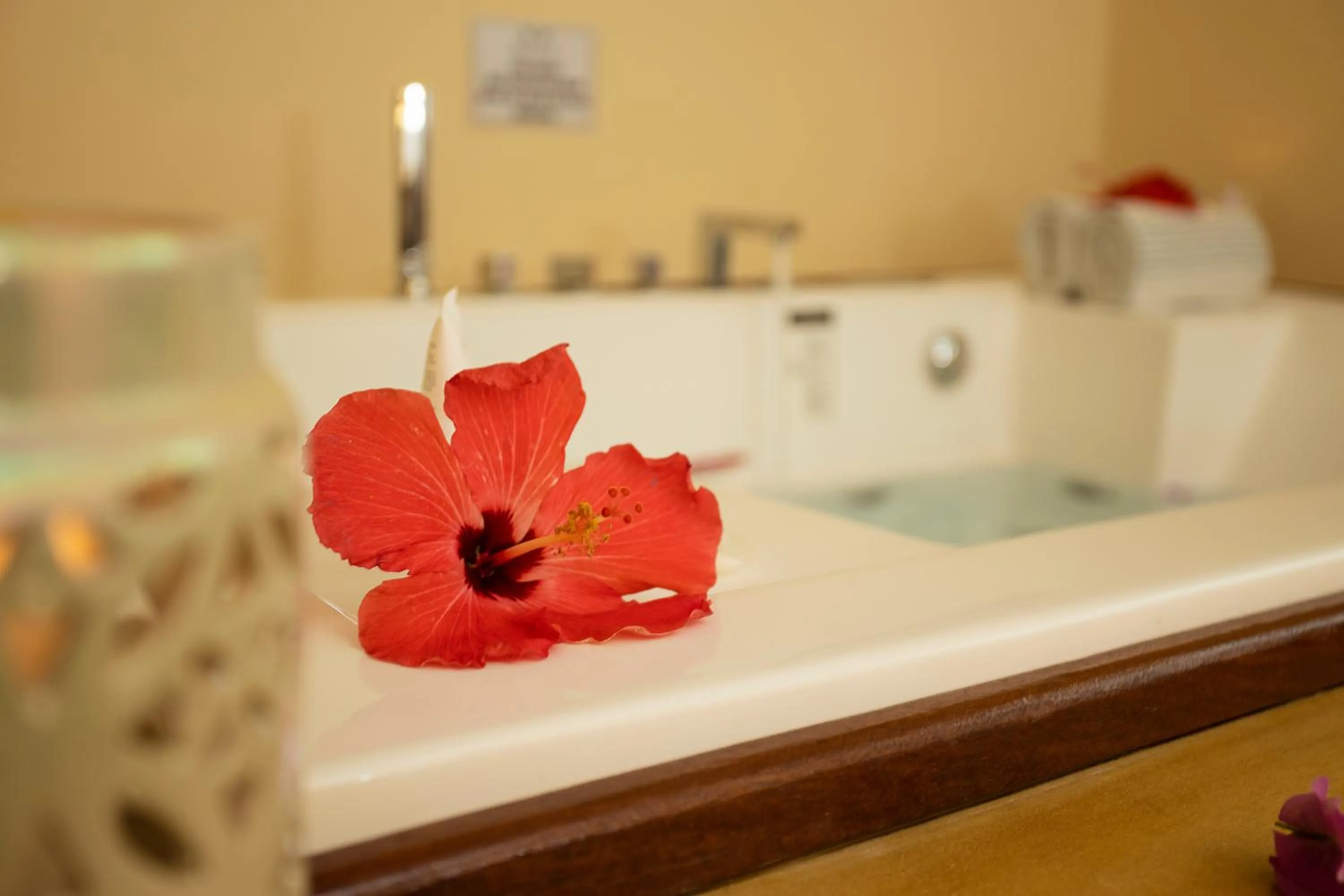 Beija Flor Exclusive Hotel & Spa