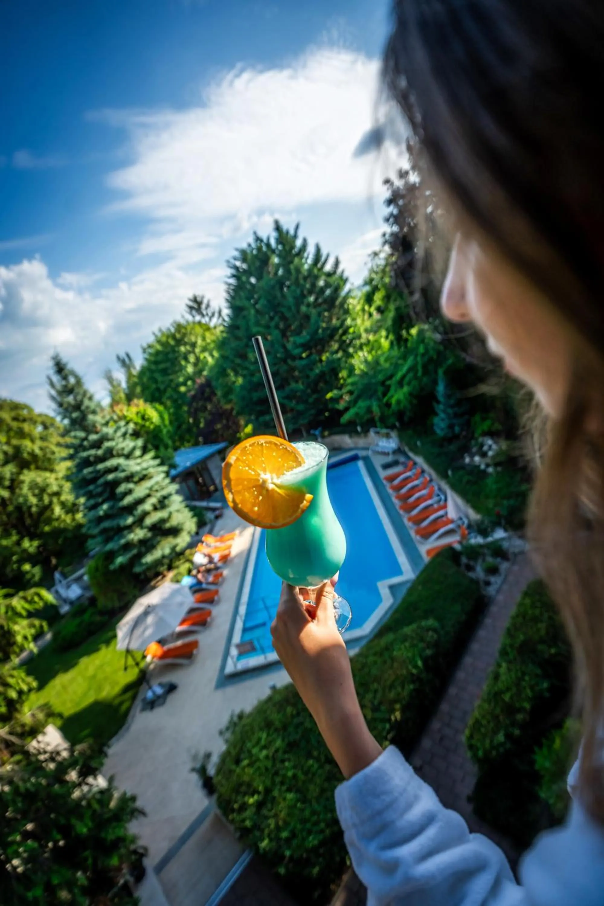 Garden in Hotel Villa Pax