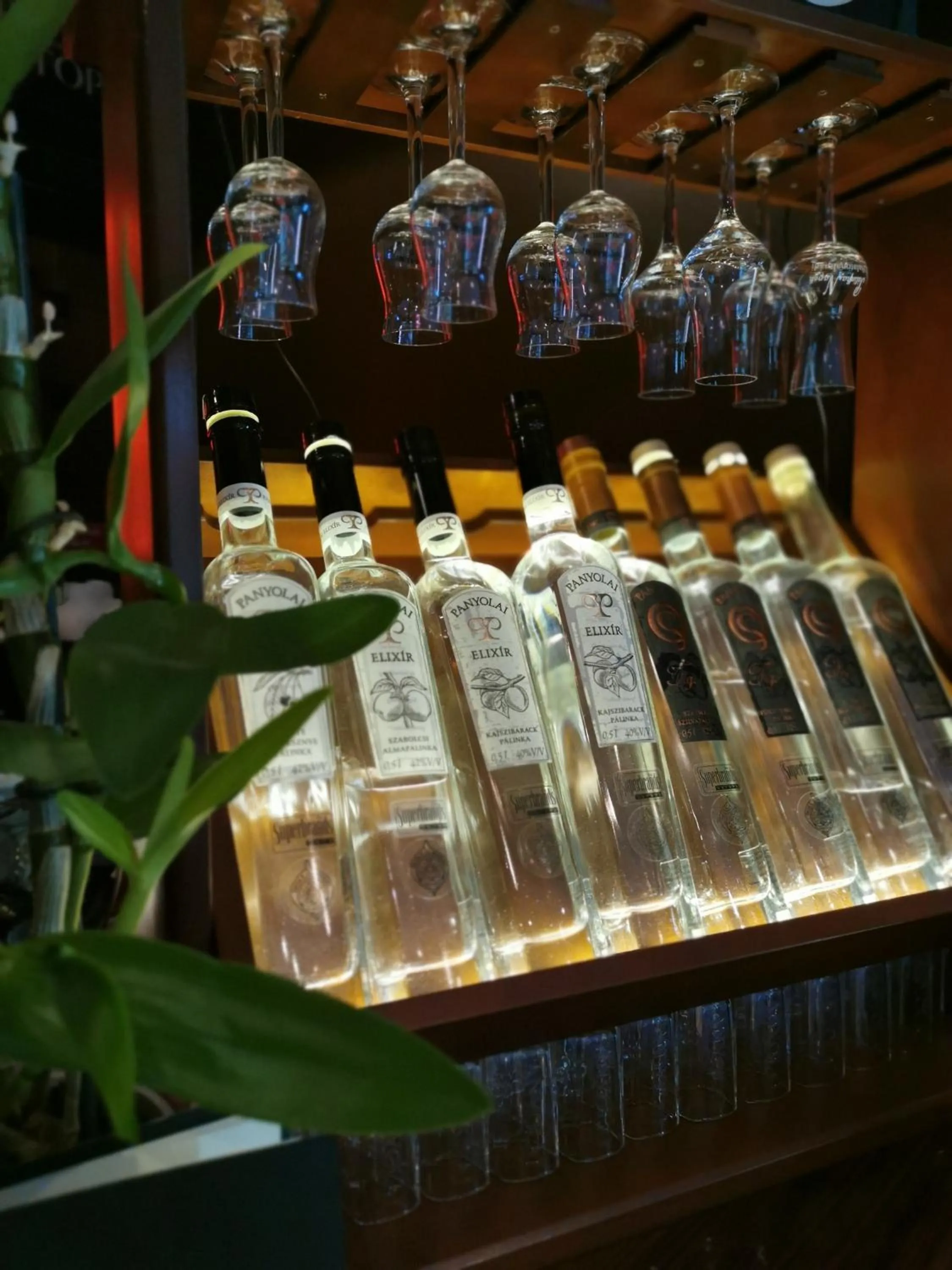 Alcoholic drinks in Hotel Villa Pax