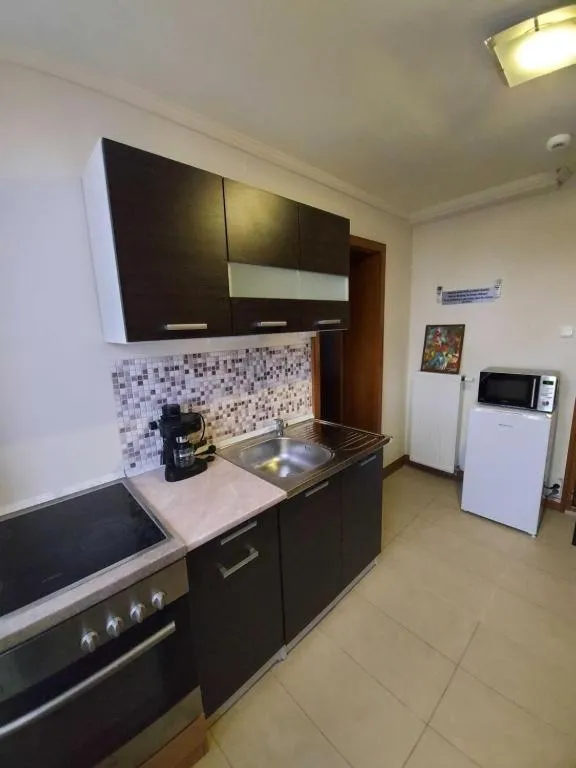 Kitchen or kitchenette in Hotel Villa Pax