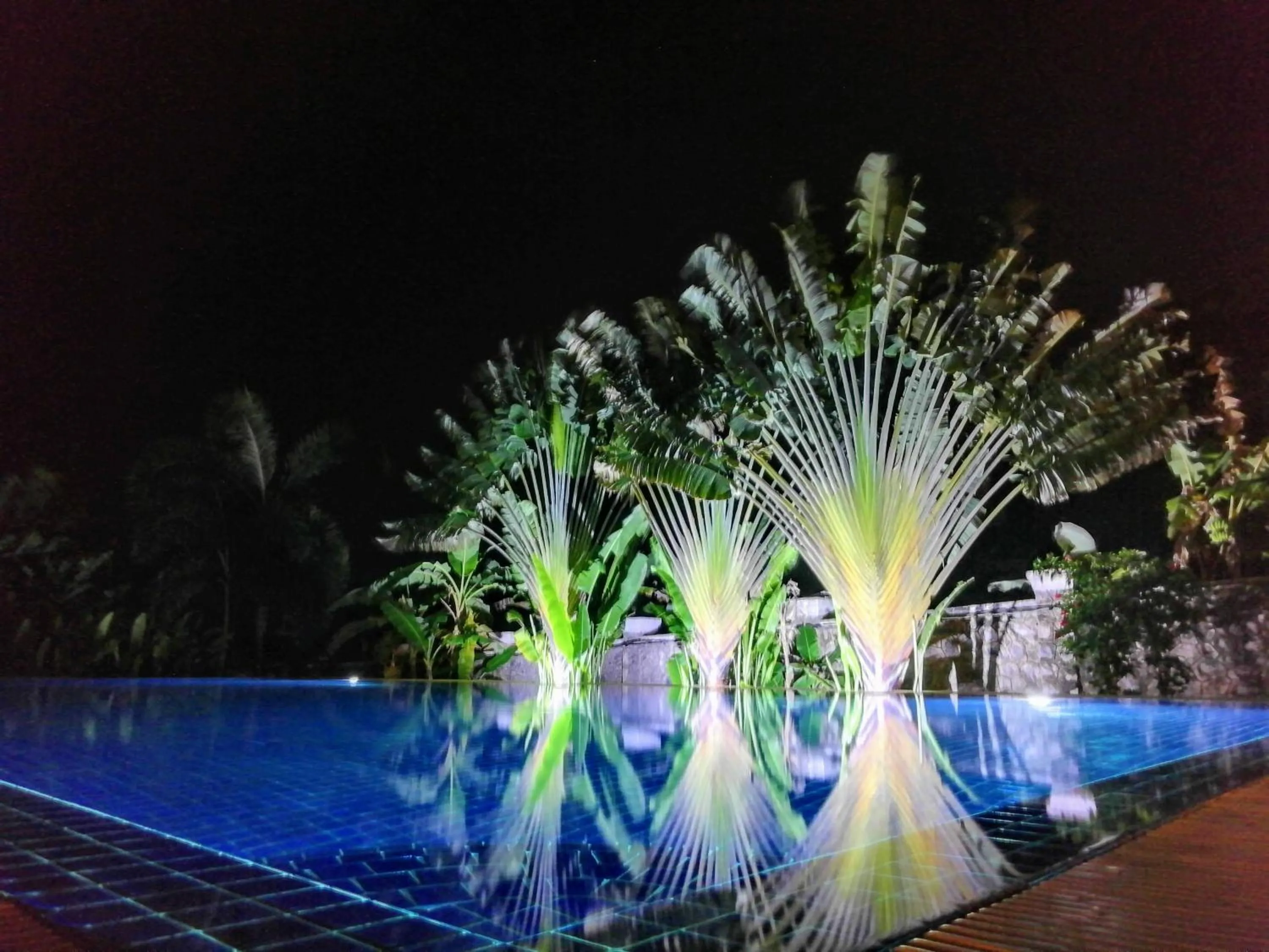 Swimming pool in Q Bungalows
