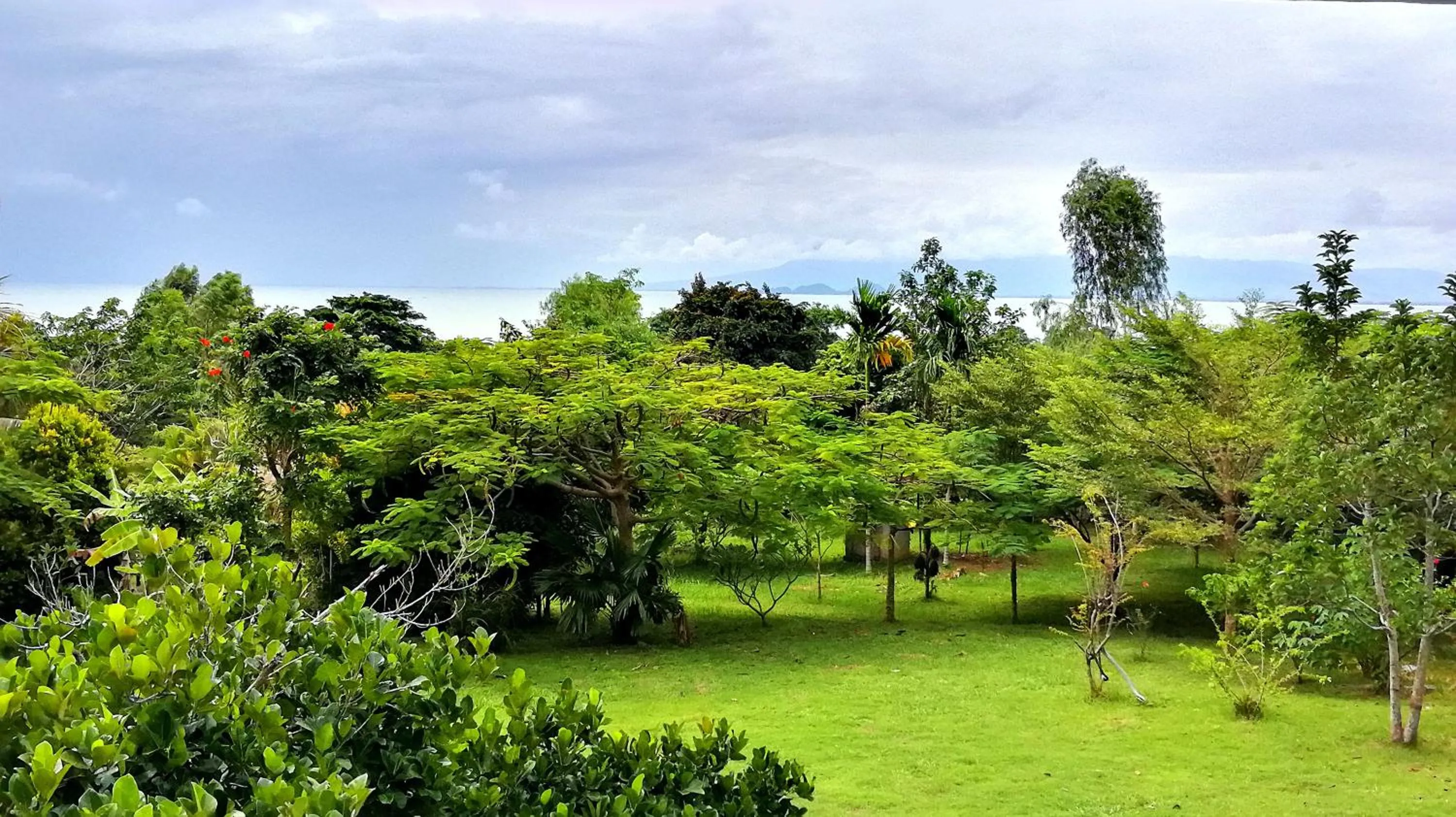 Patio in Q Bungalows